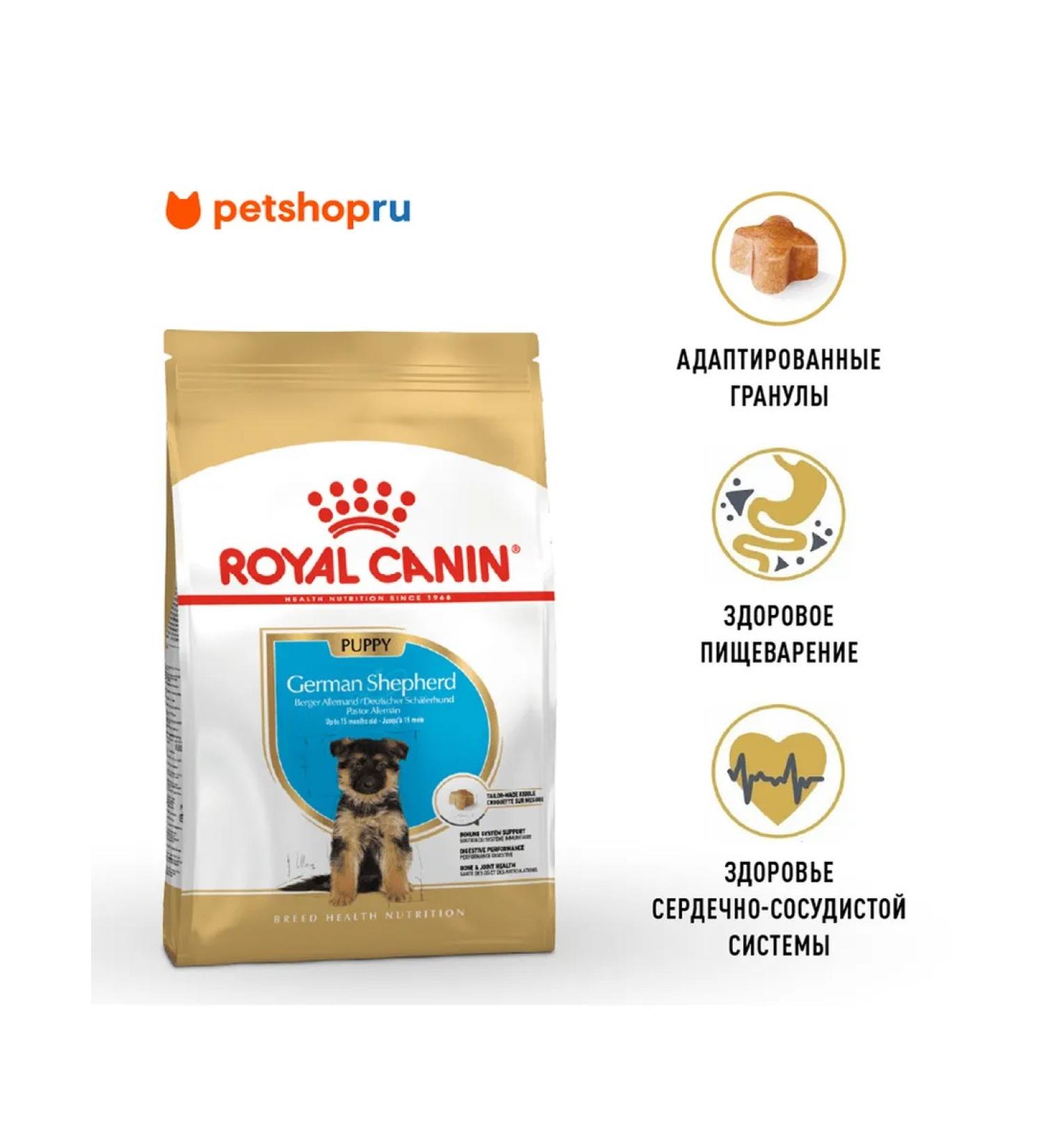 ROYAL CANIN Feed for puppies German shepherd German Shepherd Puppy 12kg - Buy Online on GoSupps.com