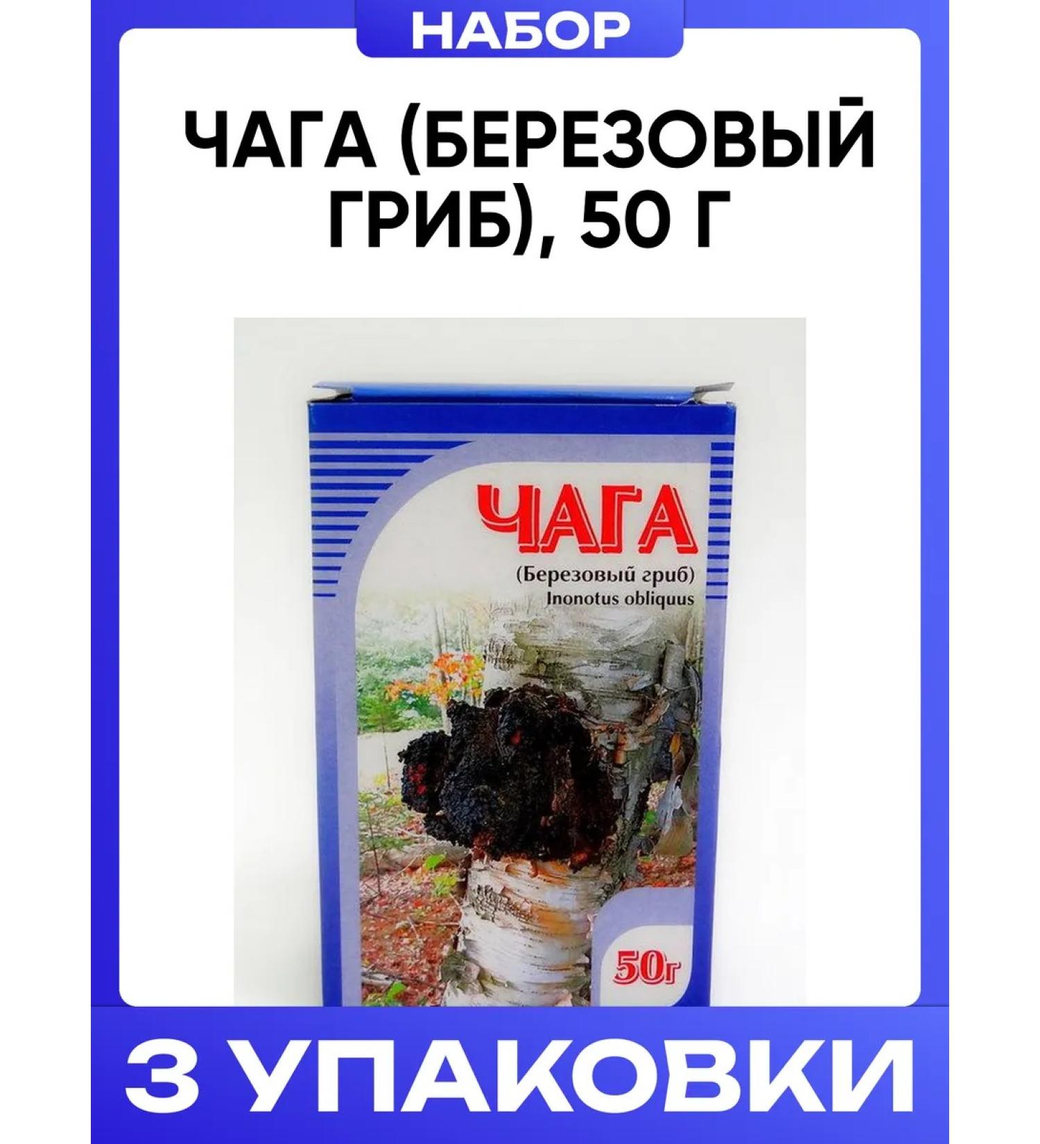 HORST Chaga (birch mushroom) 50 g