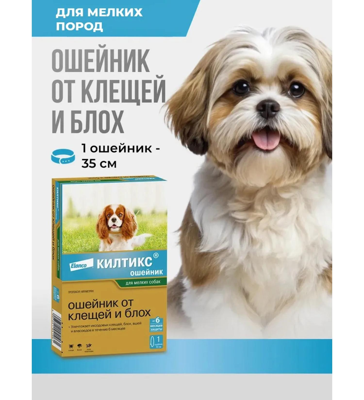 Elanco Kilts a collar from fleas and ticks is small - Buy Online on GoSupps.com
