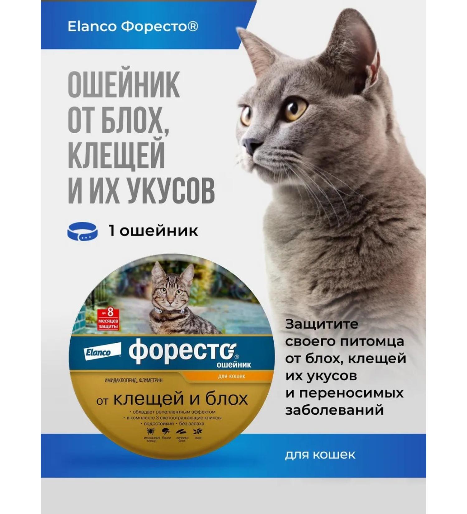 Elanco Foretrae collar for cats - Buy Online on GoSupps.com
