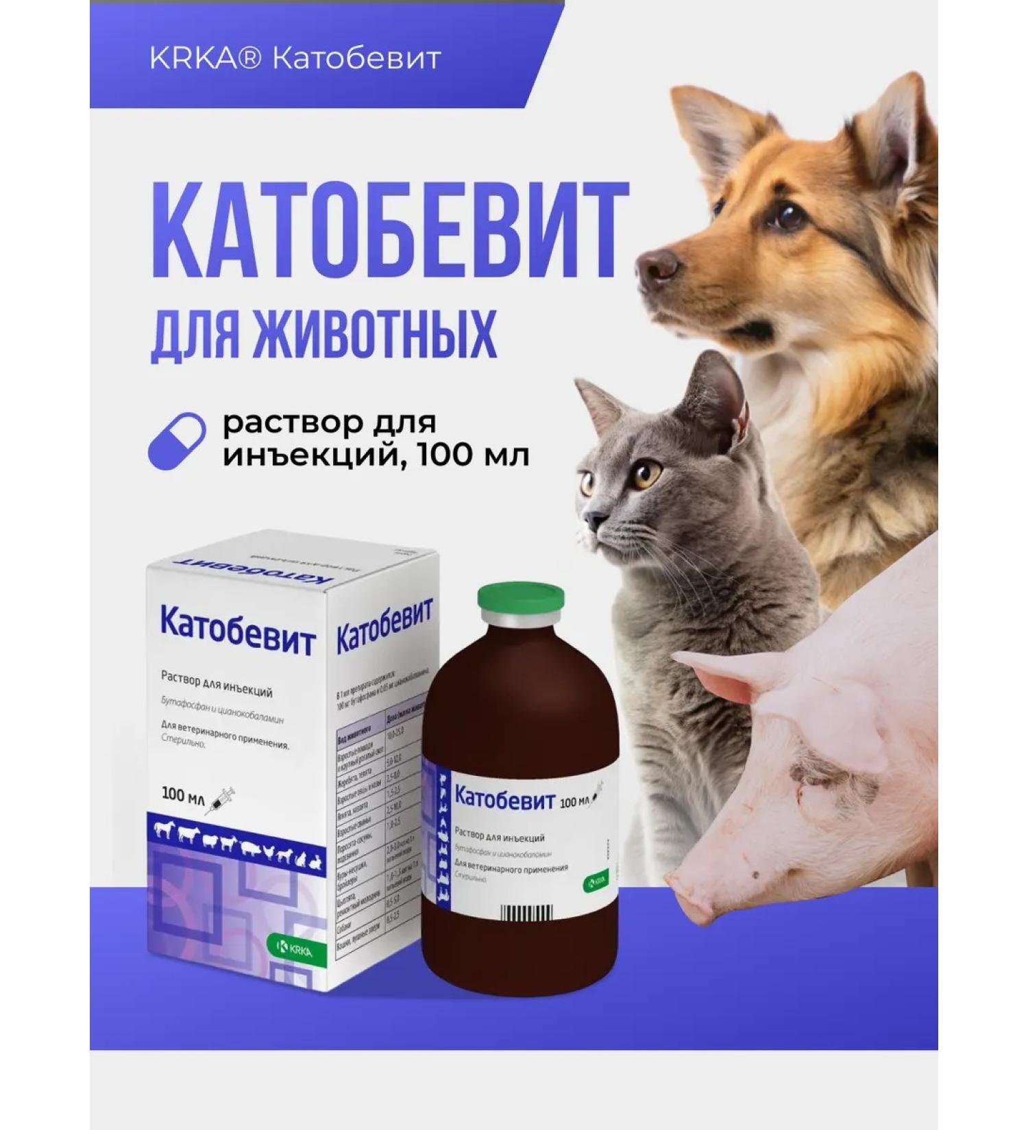 KRKA Cathobevite injection solution 100 ml - Buy Online on GoSupps.com