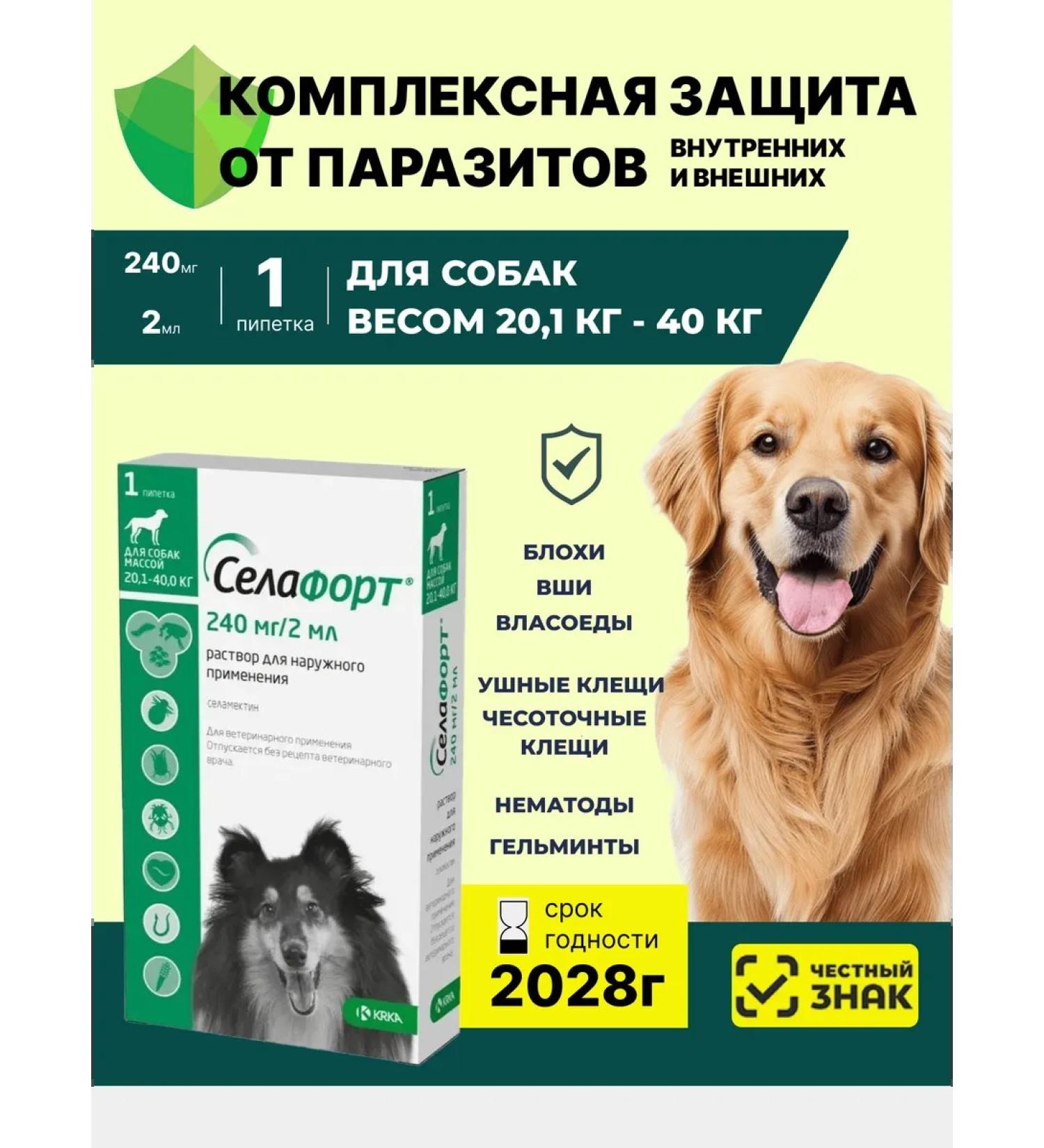 KRKA Selaford external use solution 1 x 240 mg 2ml - Buy Online on GoSupps.com