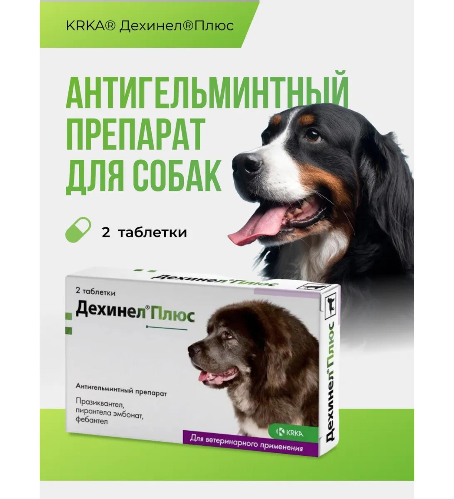 KRKA Dehinel plus tablets weighing 2310 mg No. 2 - Buy Online on GoSupps.com