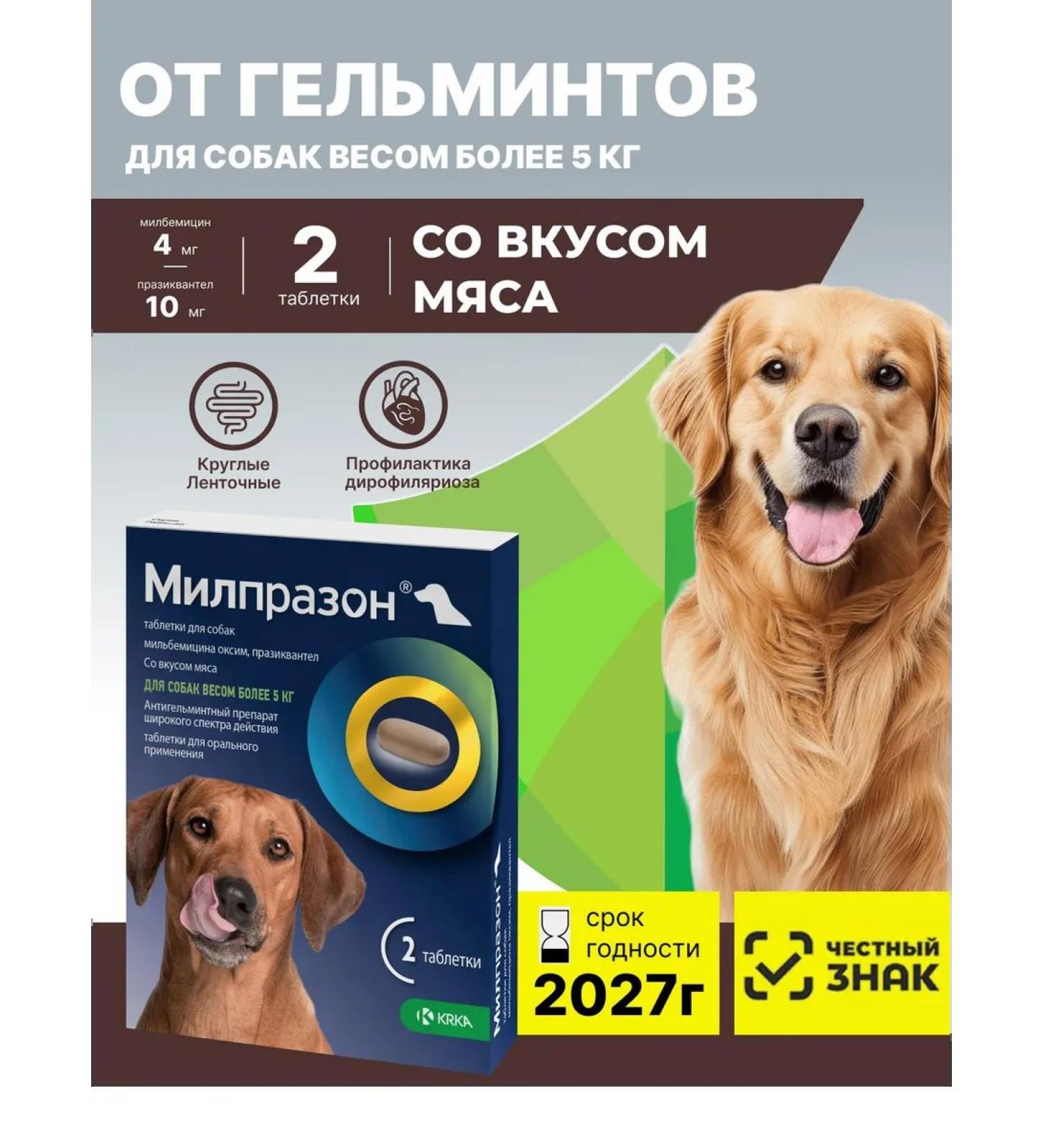 KRKA Milprazone Dog tablets 2x12.5 mg 125 mg - Buy Online on GoSupps.com