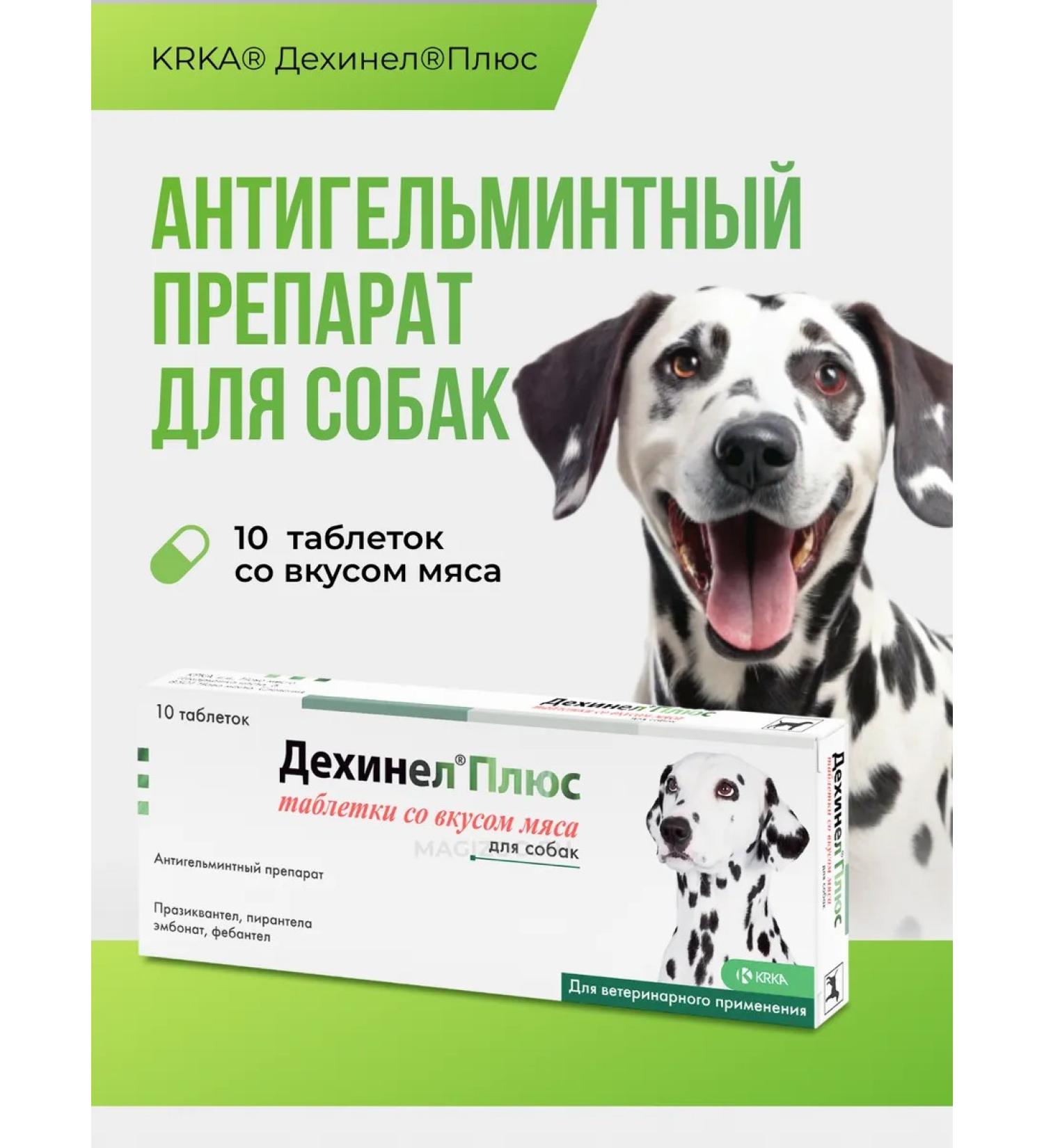 KRKA Dehinel plus tablets with the taste of meat No. 10 - Buy Online on GoSupps.com