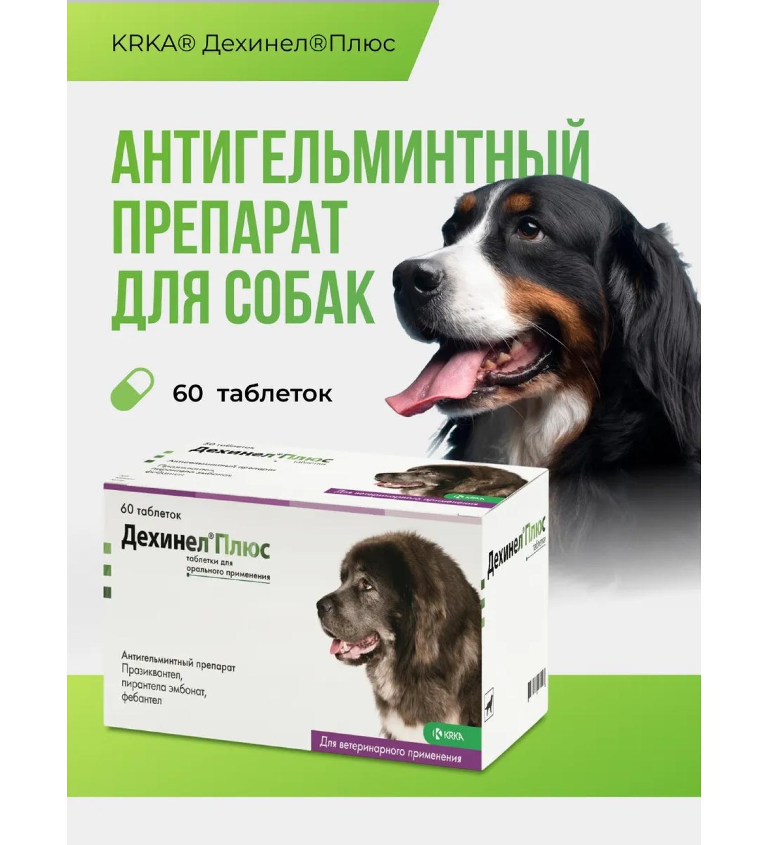 KRKA Dehinel plus tablets weighing 2310 mg No. 60 - Buy Online on GoSupps.com