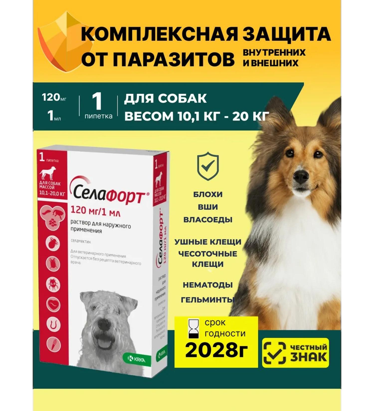 KRKA Sealess a solution for external use 1 x 120 mg 1ml - Buy Online on GoSupps.com