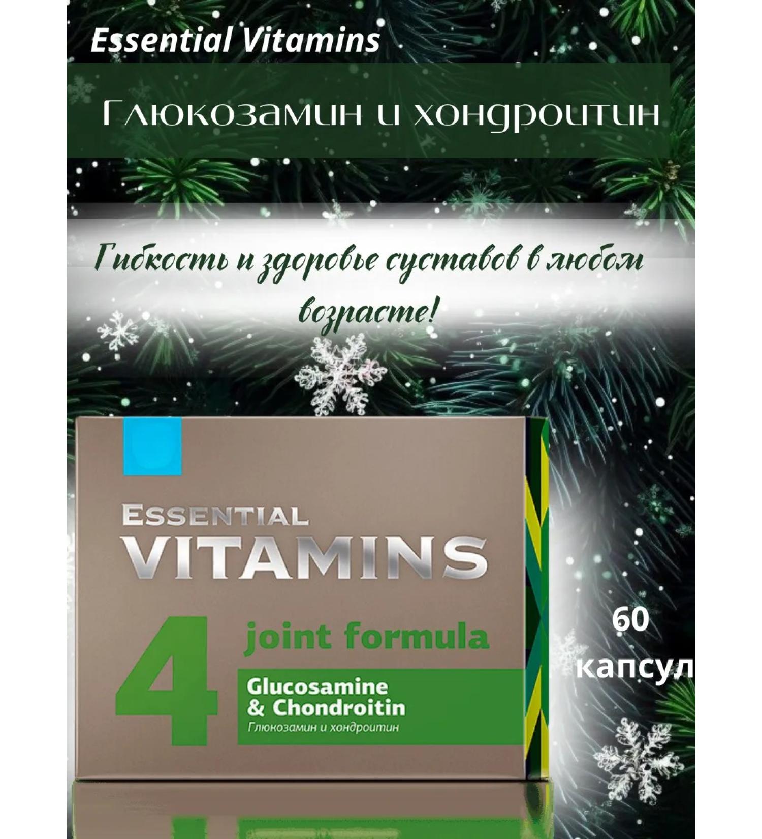 Immunity of Siberia Glucosamine and Chondroitin - Essential Vitamins - Buy Online on GoSupps.com