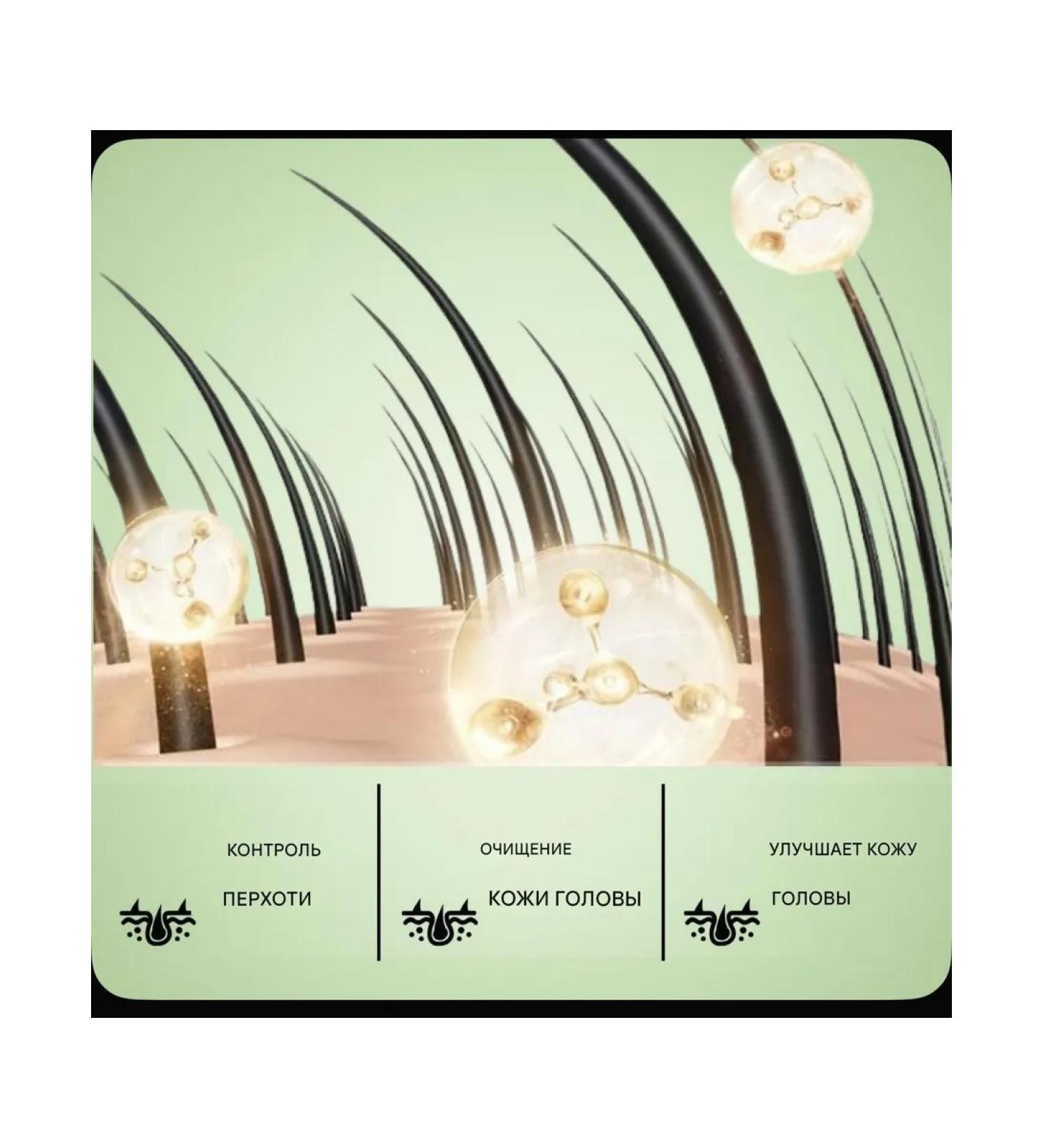 CNMOFAXIN Cleaning balancing shampoo from dandruff and oily - Buy Online on GoSupps.com