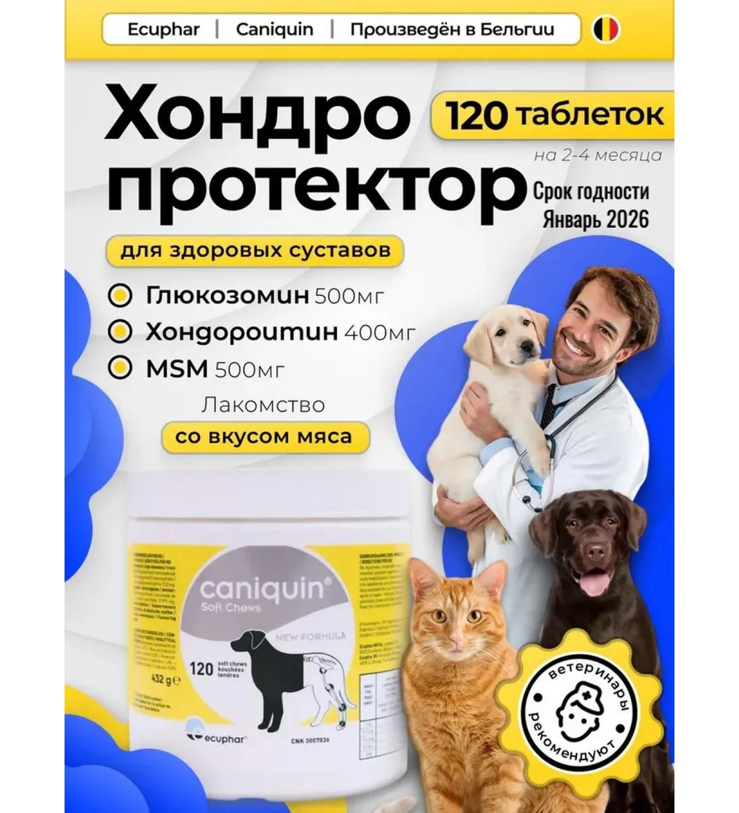 Ecuphar Chondroprotector for the joints of dogs Vreesen 120 pcs - Buy Online on GoSupps.com