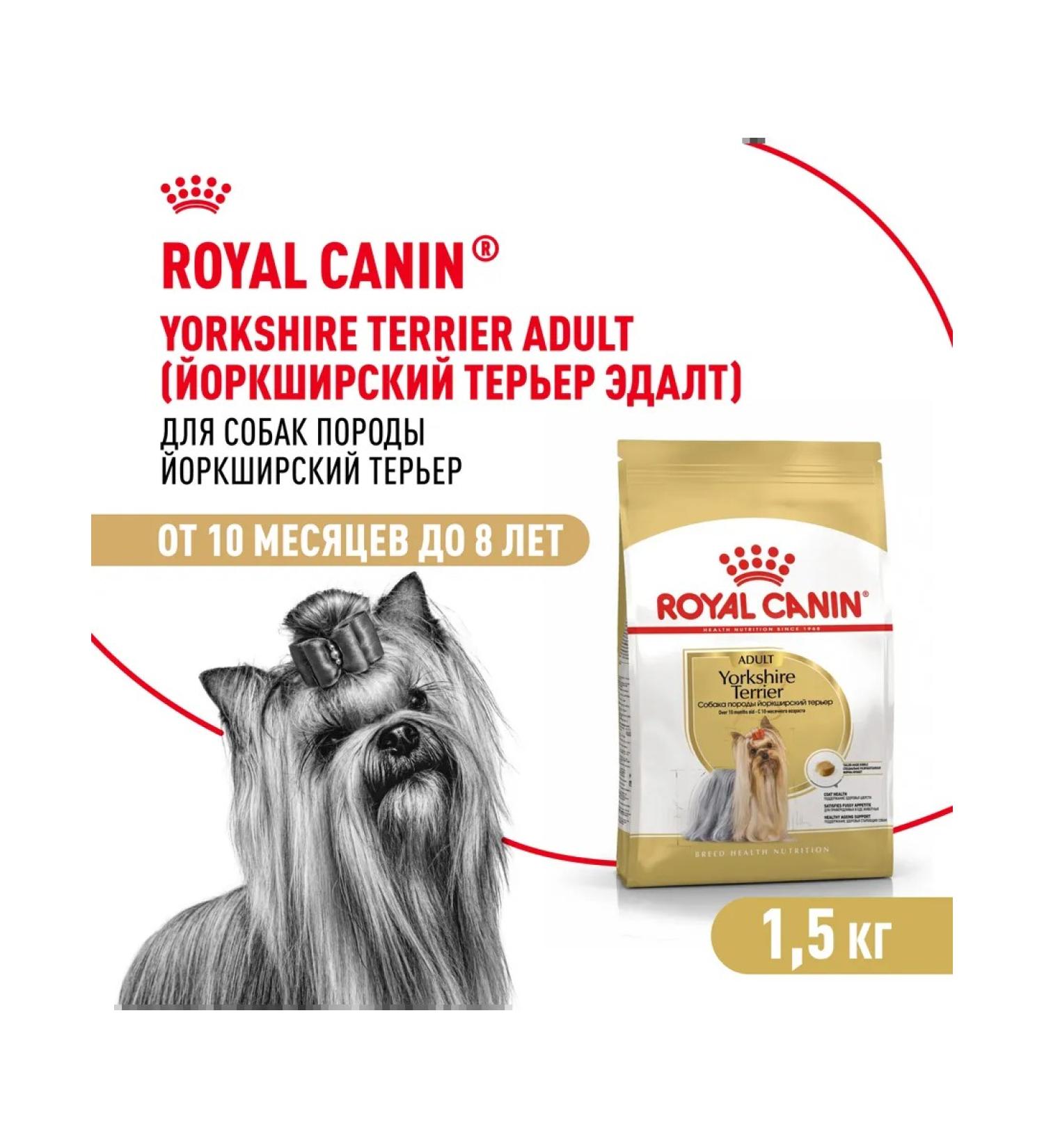 ROYAL CANIN Dry food for dogs Yorkshire Terrier Adult 1.5 kg - Buy Online on GoSupps.com