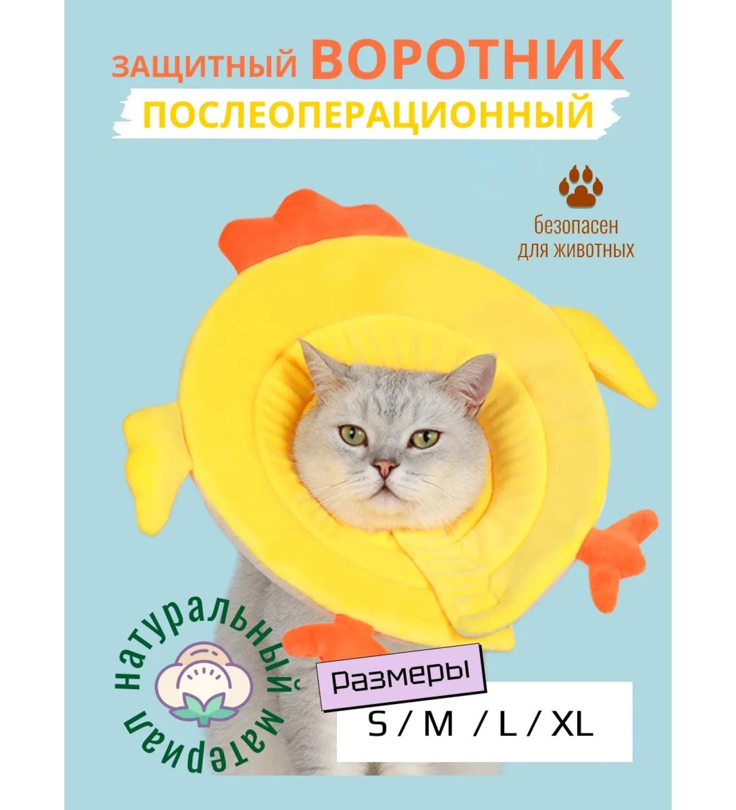 HypePet Collar for cats and dogs protective veterinary "chicken" - Buy Online on GoSupps.com