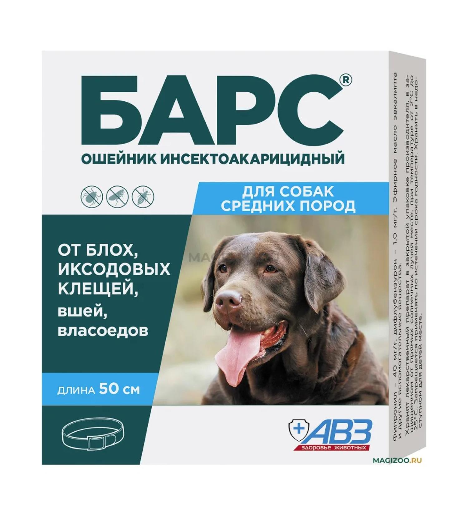 AVZ Bars collar for medium dogs 50 cm