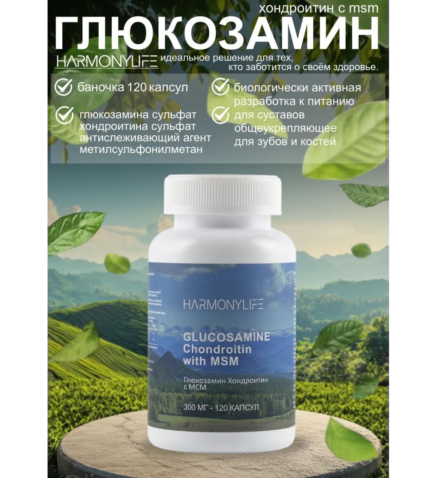 HarmonyLife Glucosamine chondroitin MSM for joints 120 capsules - Buy Online on GoSupps.com