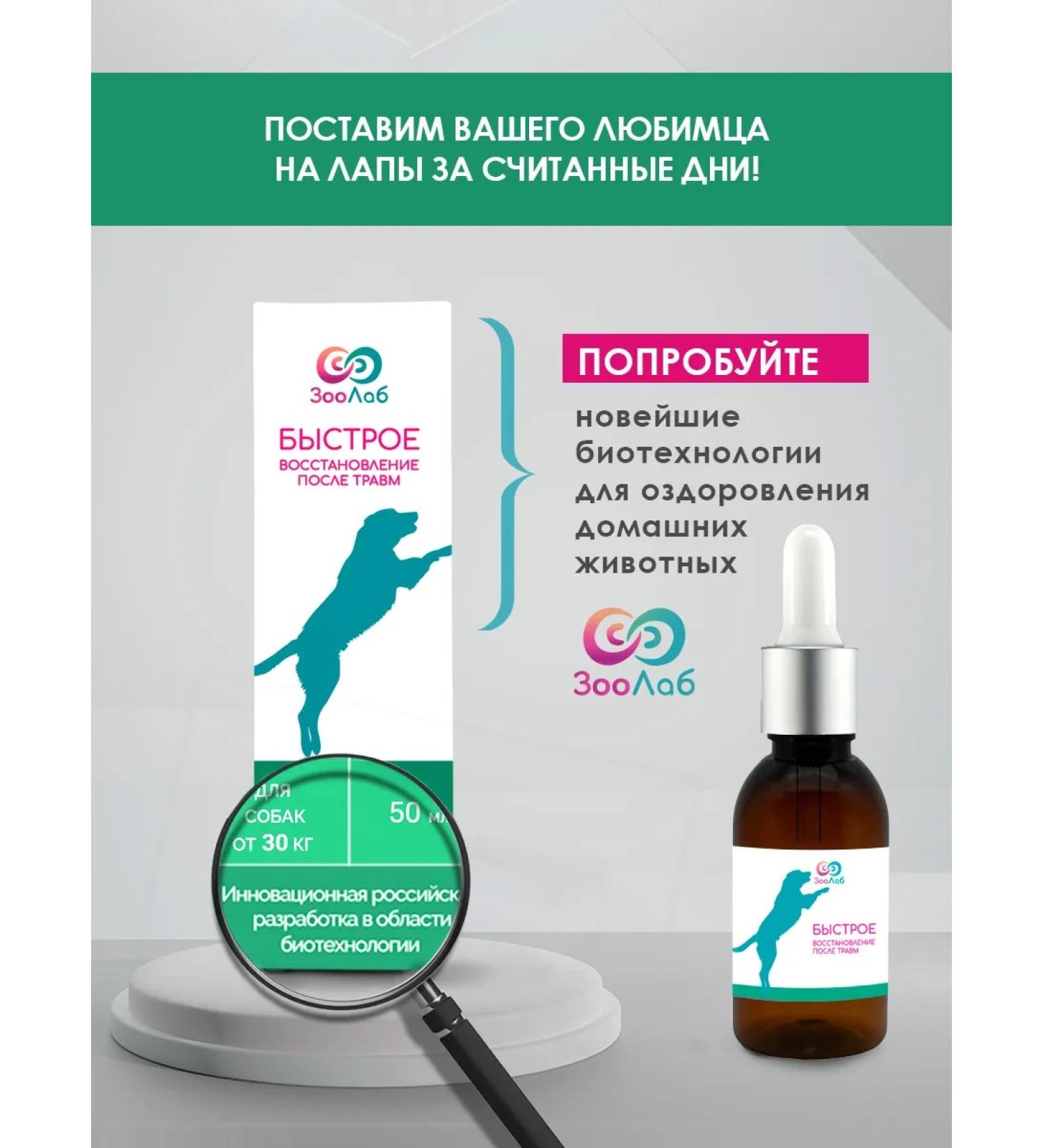 ZooLab Quick recovery after injuries for dogs from 30kg - Buy Online on GoSupps.com