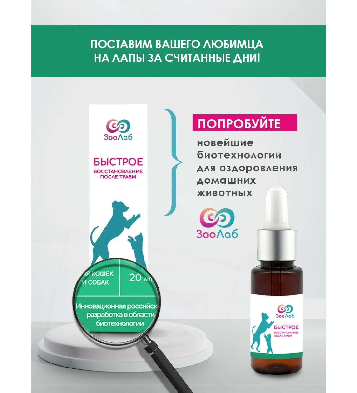 ZooLab Quick recovery after injuries for cats and dogs - Buy Online on GoSupps.com