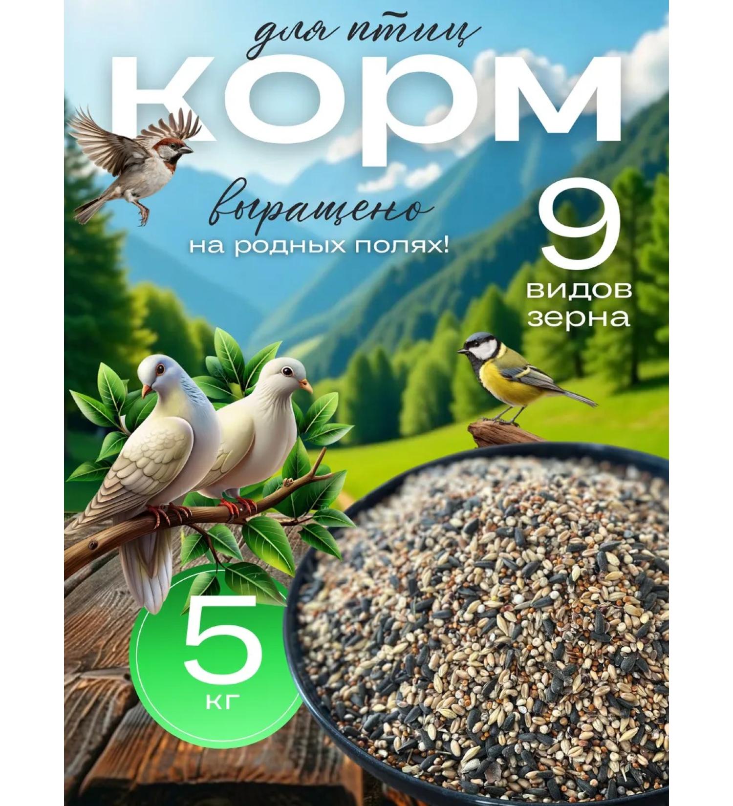 well-fed bird food for street birds - Buy Online on GoSupps.com