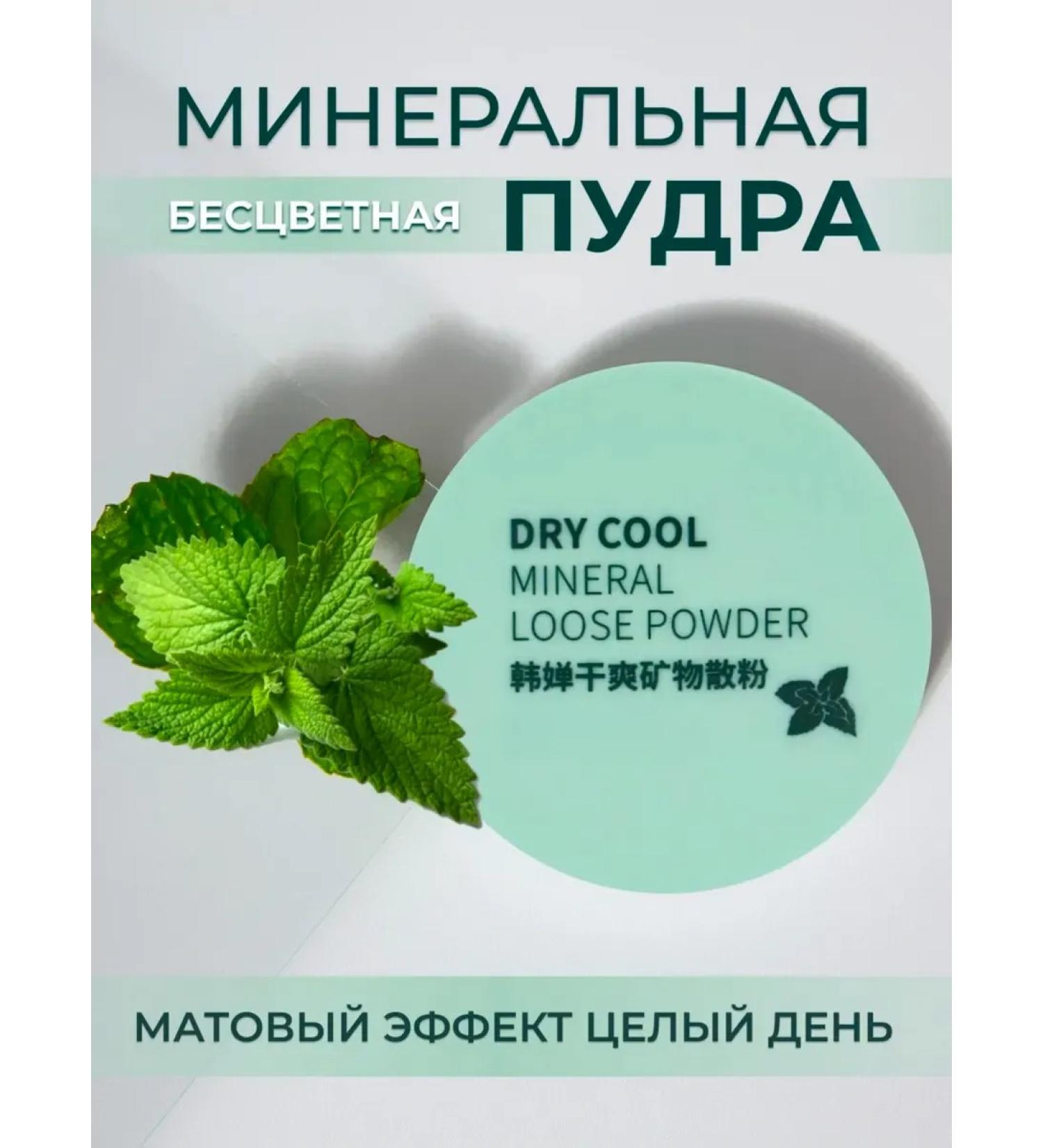 Lion's Oasis Facial powder matting - Buy Online on GoSupps.com