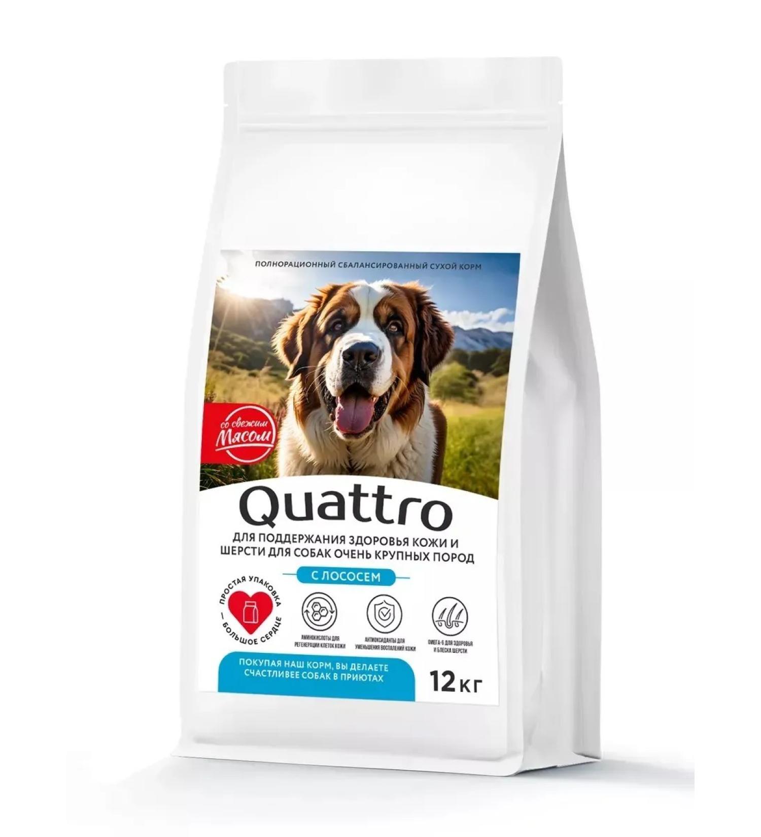 Quattro Feed for large dogs with salmon 12 kg for skin and wool - Buy Online on GoSupps.com
