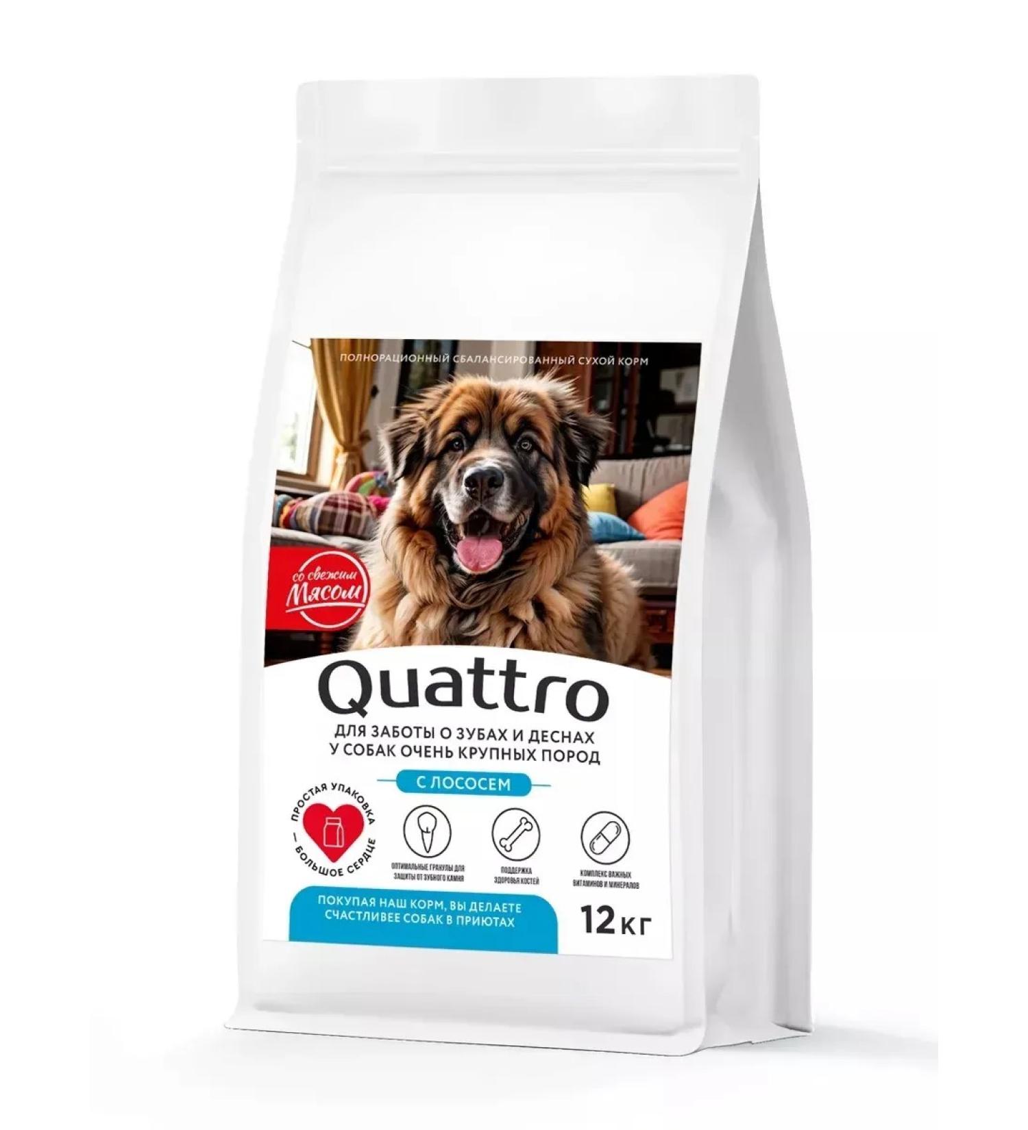 Quattro Feed for very large dogs with salmon 12 kg for teeth - Buy Online on GoSupps.com