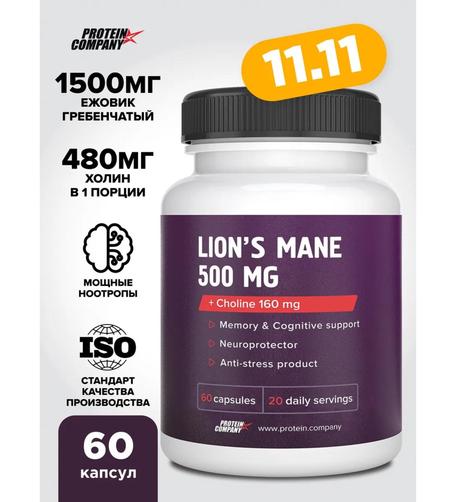 PROTEINCOMPANY Ezhovik crested + choline Lion's Mane 500 mg 60 cap - Buy Online on GoSupps.com