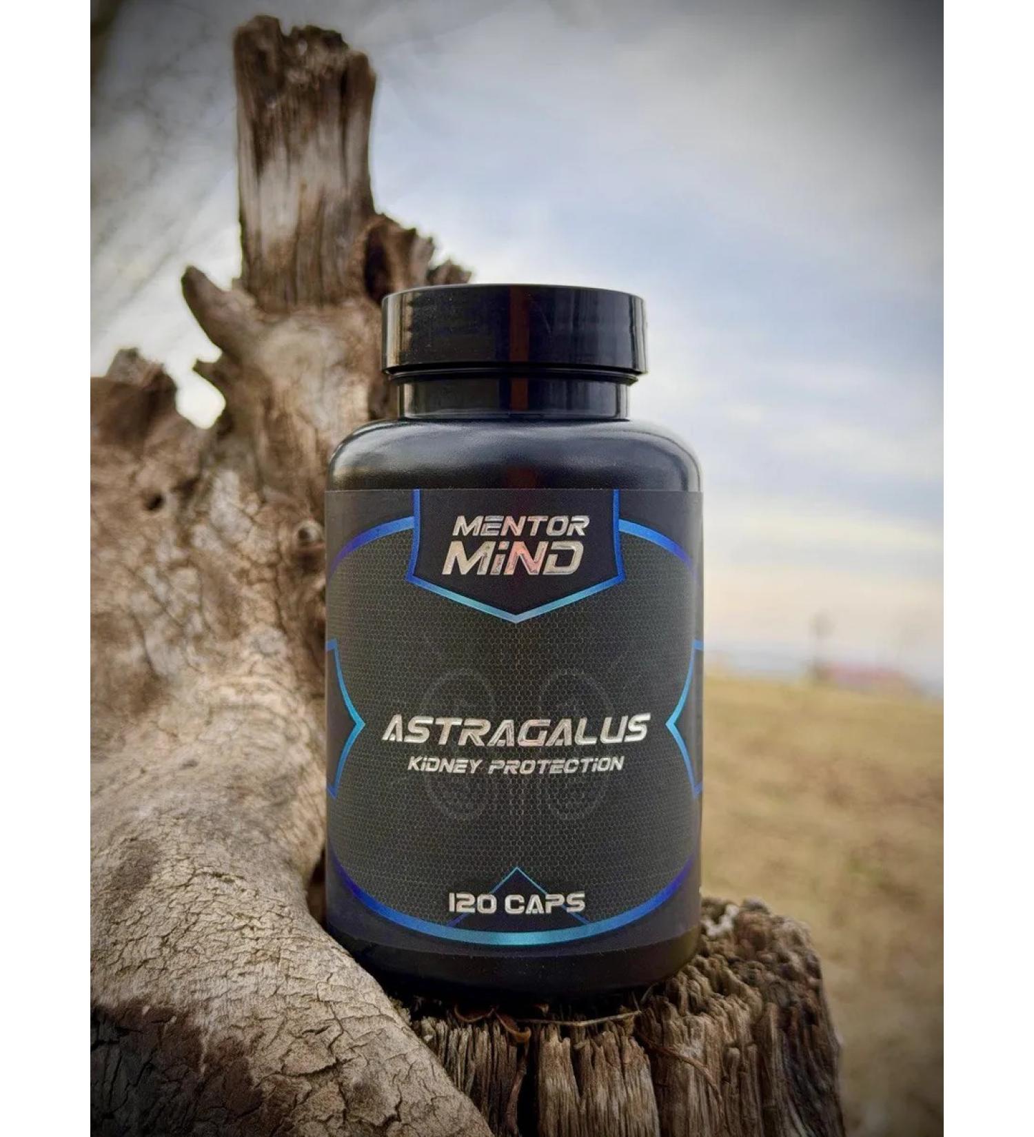 Mentor Mind Astragalus astral root extract 120k - Buy Online on GoSupps.com
