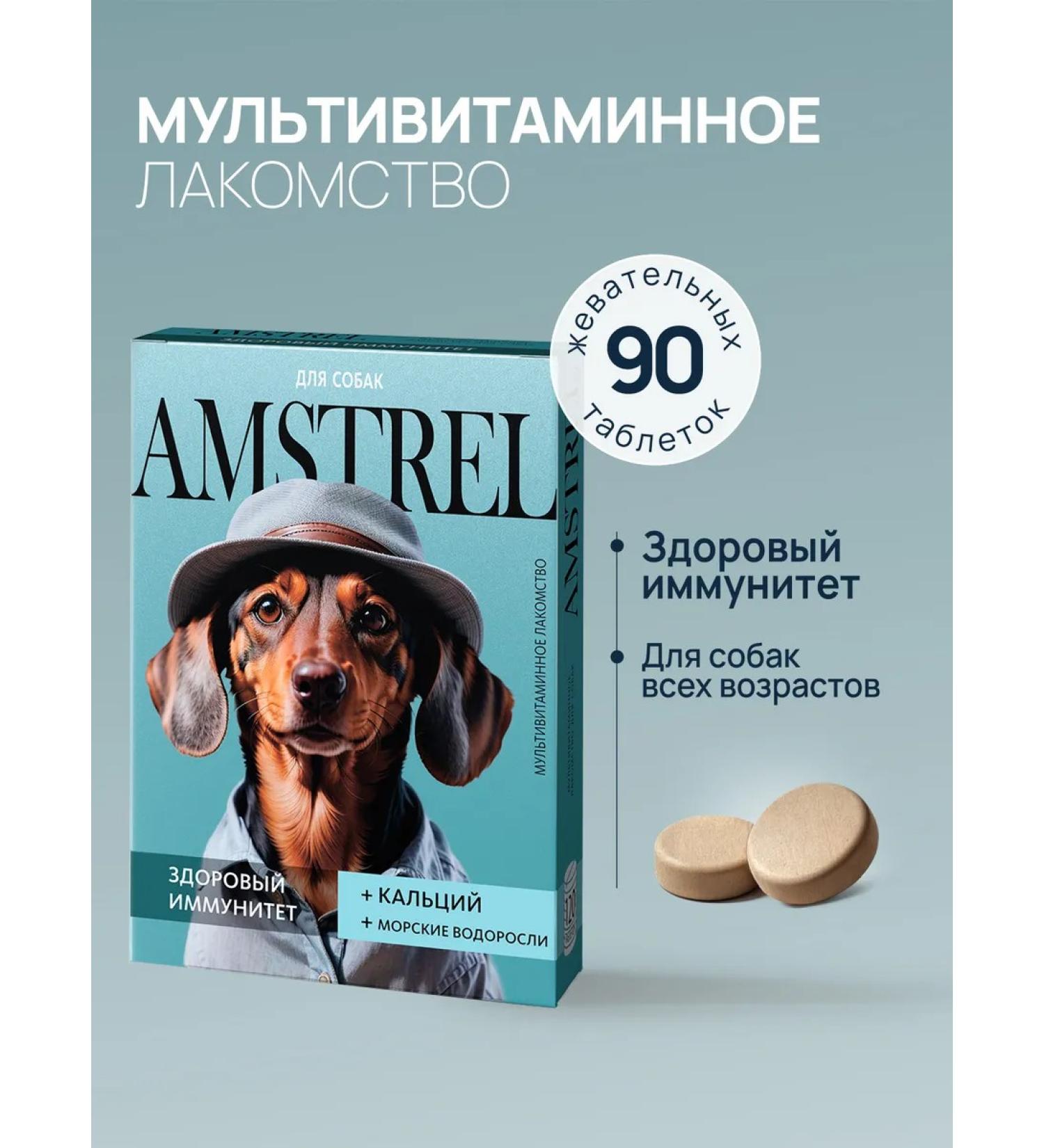 AMSTREL Multivitamins for dogs healthy immunity 90 tablets - Buy Online on GoSupps.com