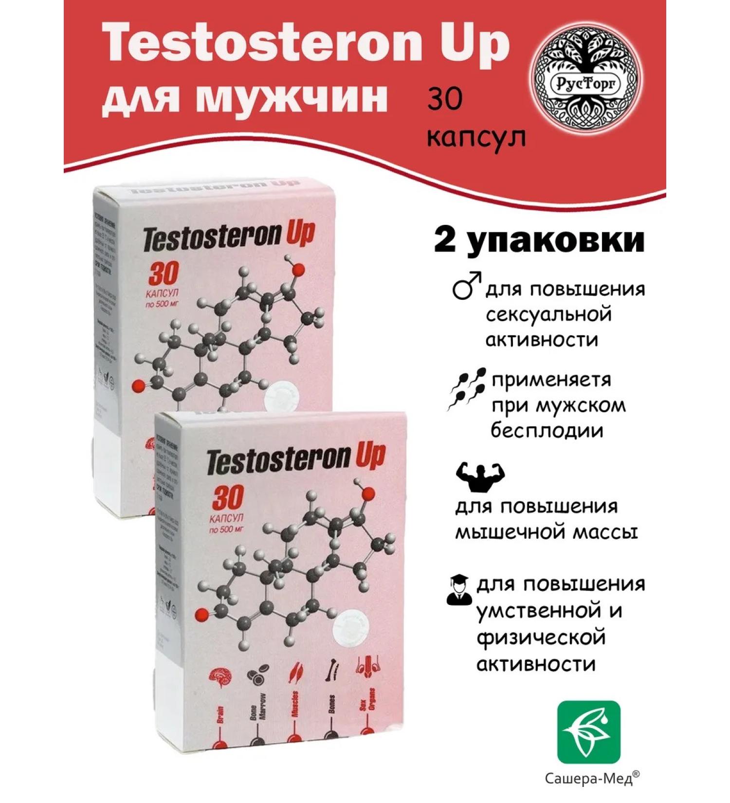 Sashera honey Testosteron Up testosterone course 2 UEs of 30 capsules - Buy Online on GoSupps.com