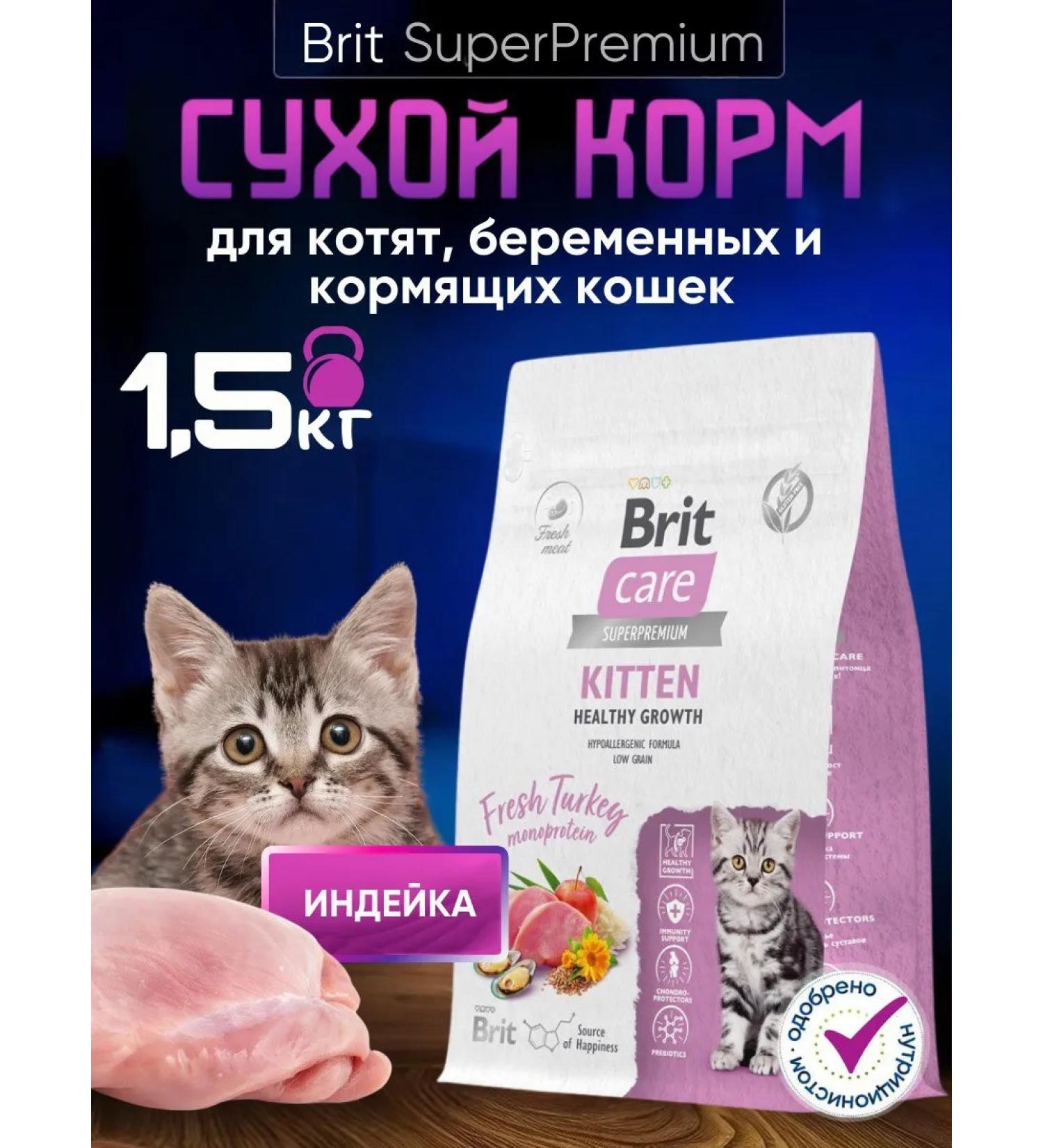 Brit Dry food for kittens pregnant and nursing cats 1.5 kg - Buy Online on GoSupps.com