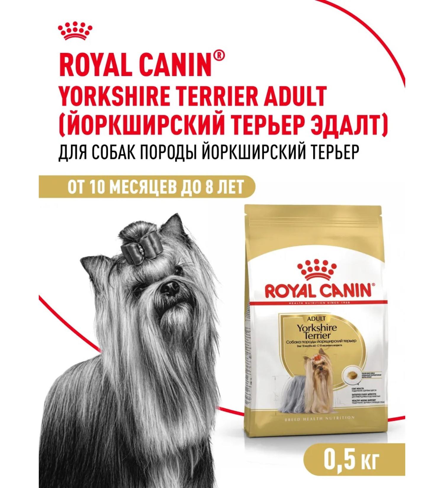 ROYAL CANIN Dry food for dogs of the breed Yorkshire Terrier 0.5 kg - Buy Online on GoSupps.com