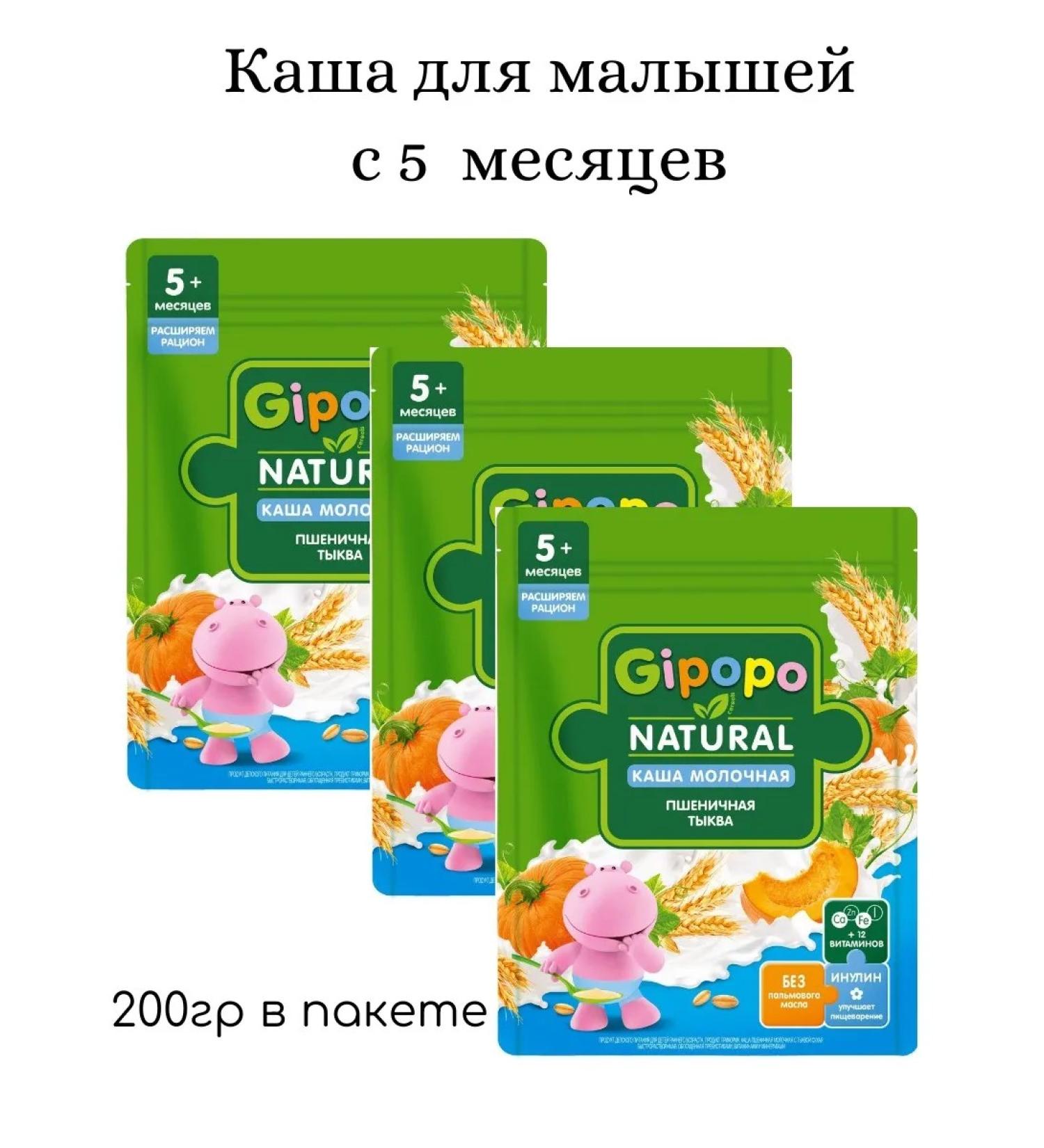 GIPOPO Porridge wheat milk pumpkin 200g 3pcs