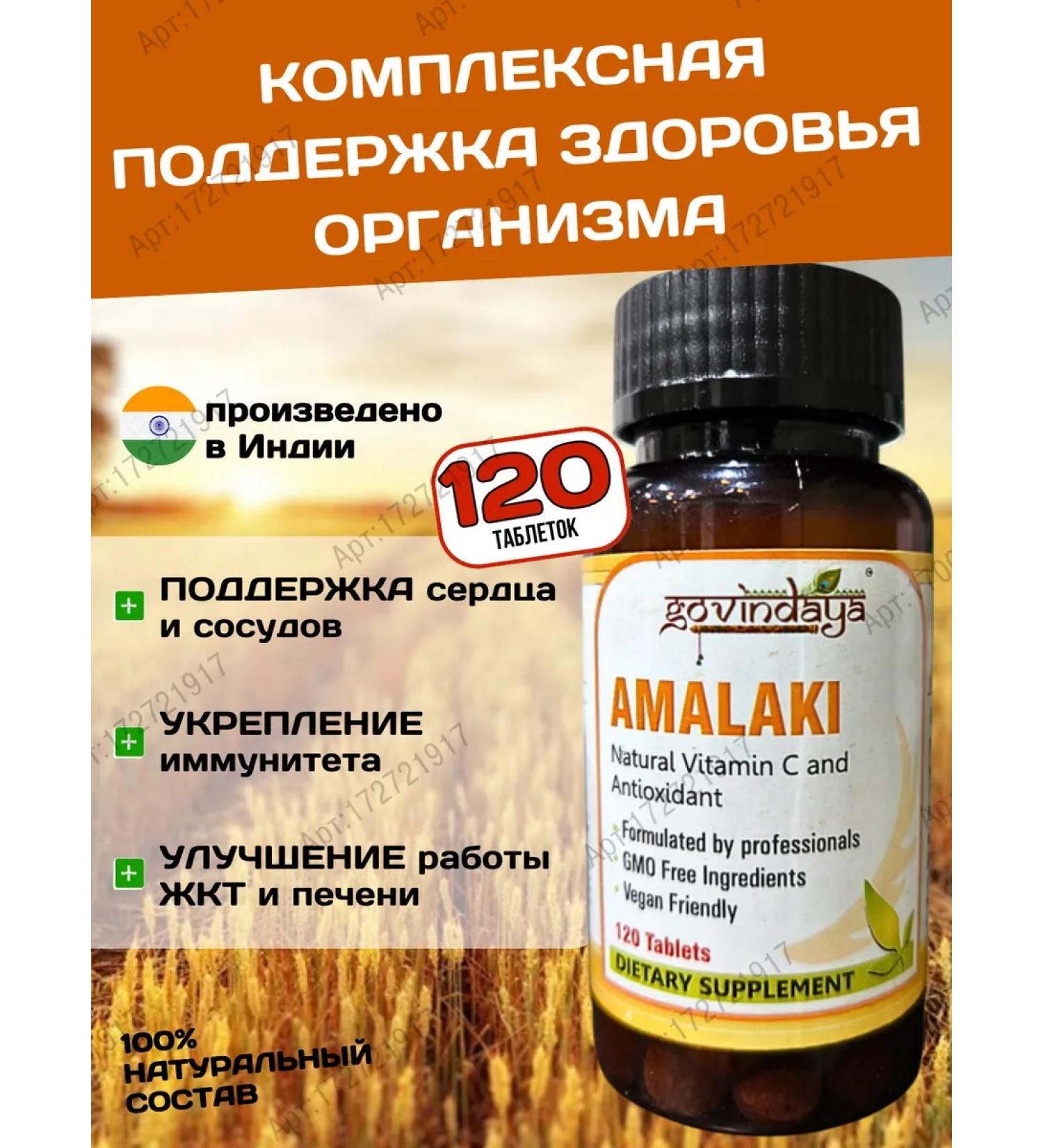 Govindaya Amalaki amalaki source of vitamin C 120 tab - Buy Online on GoSupps.com