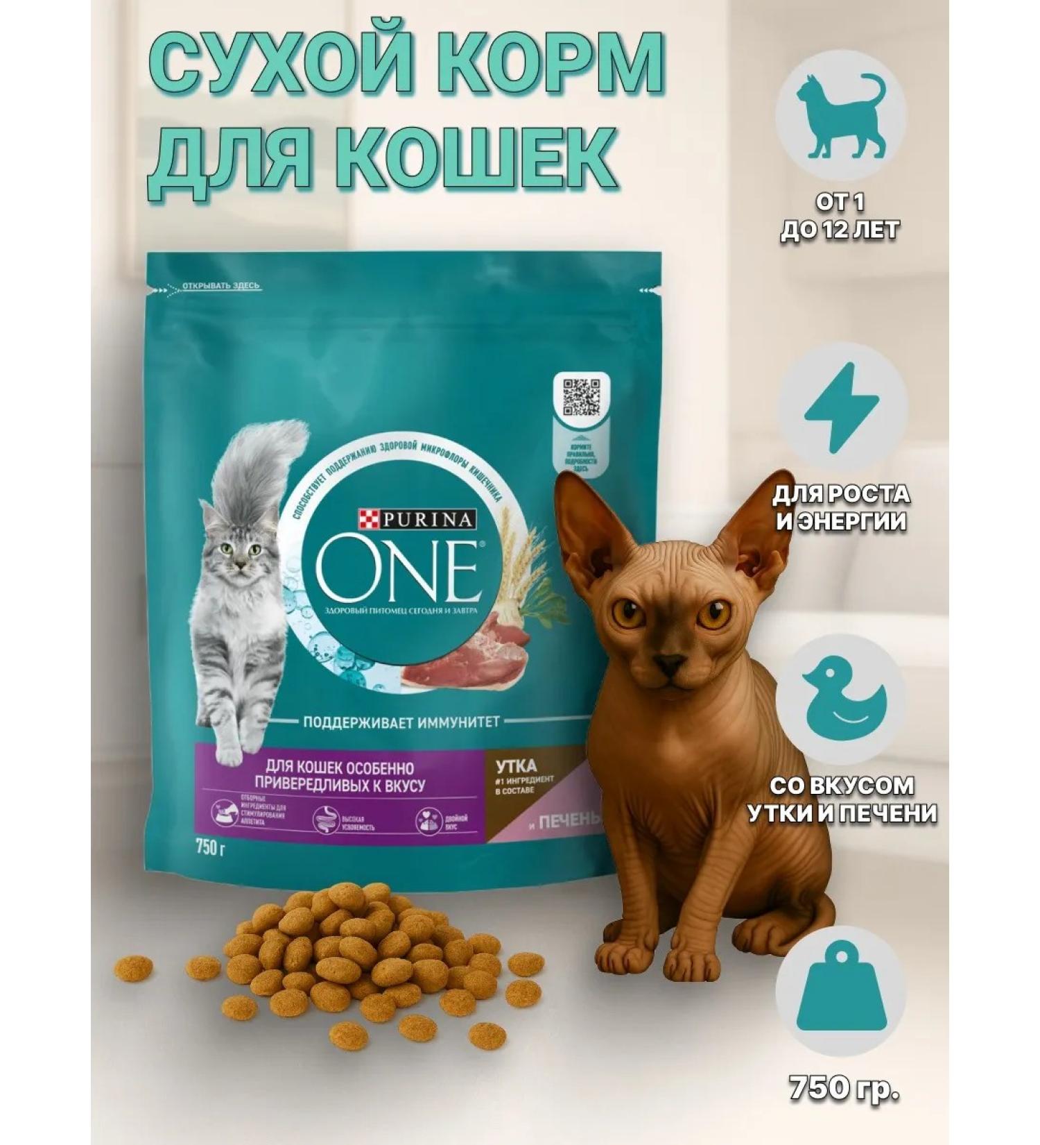 PURINA ONE Dry food of purin for fastidious duck liver 750 gr. - Buy Online on GoSupps.com