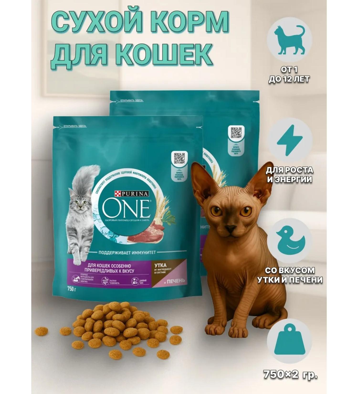 PURINA ONE Dry feed of purin for fastidious duck liver 750 g 2 pcs - Buy Online on GoSupps.com