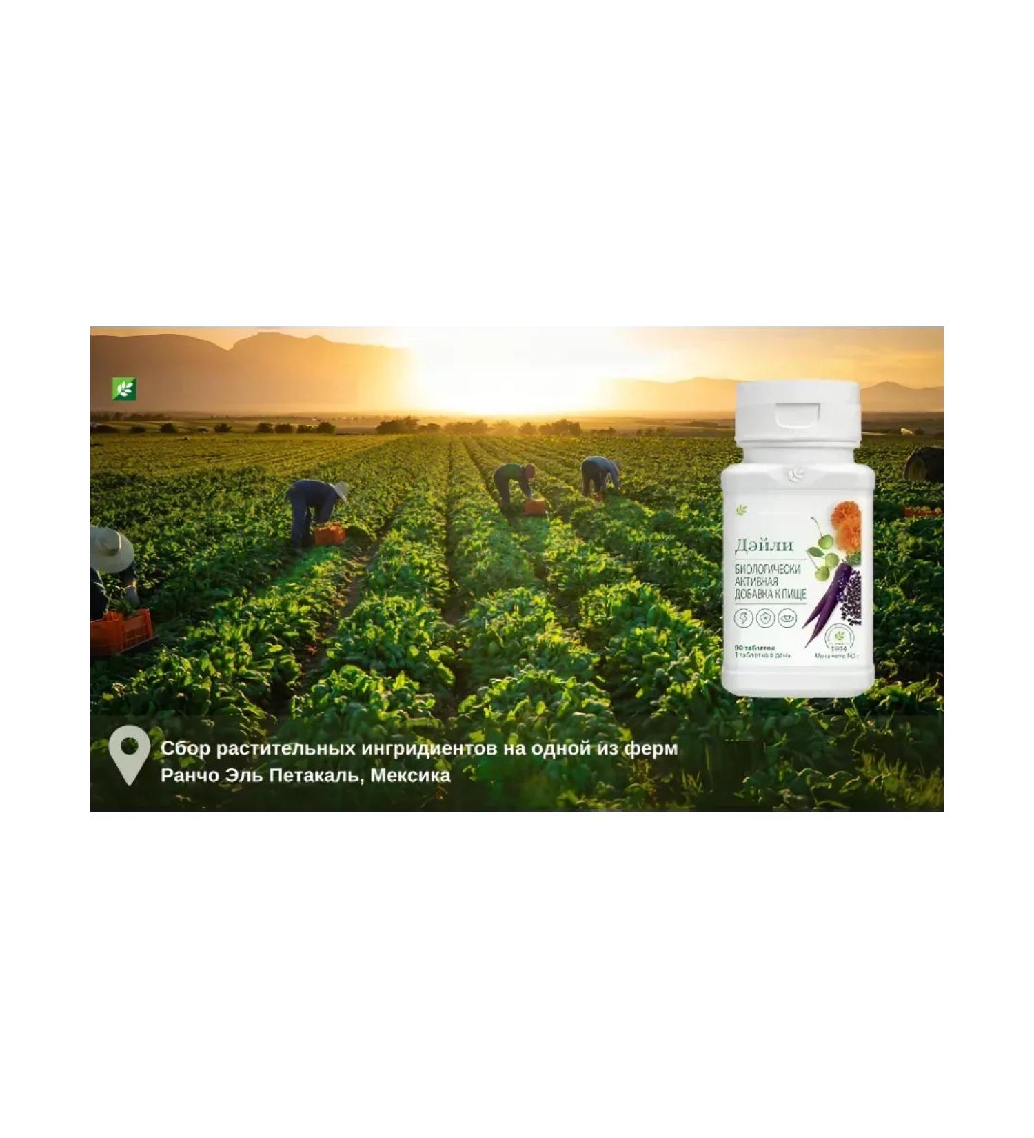 NUTRILITE Vitamins for every day Daily 90Tab - Buy Online on GoSupps.com