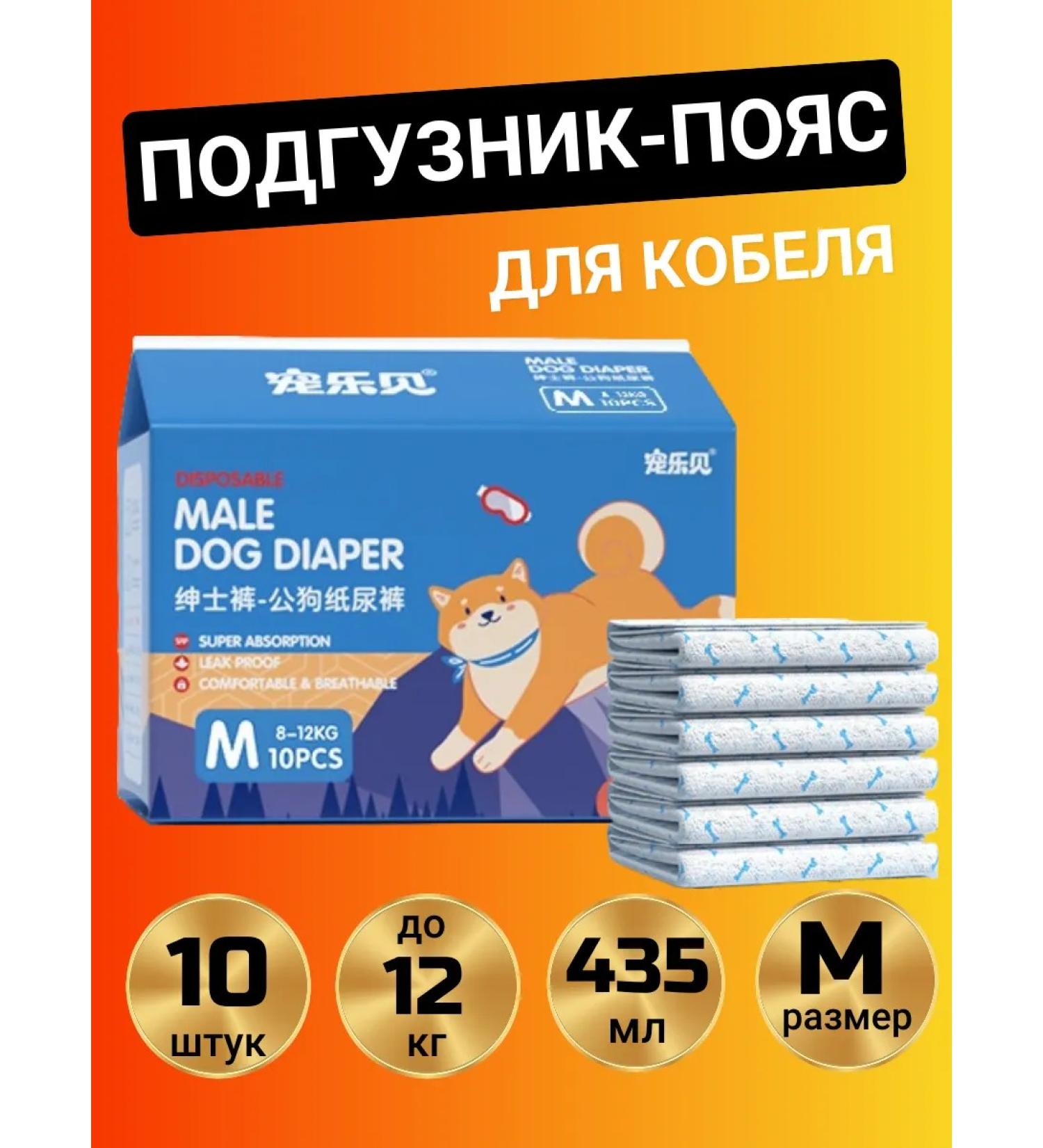 Belt for a male dog - Buy Online on GoSupps.com