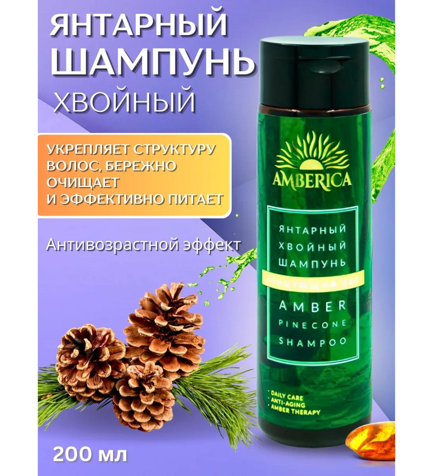 Amberica Amber coniferous shampoo - Buy Online on GoSupps.com