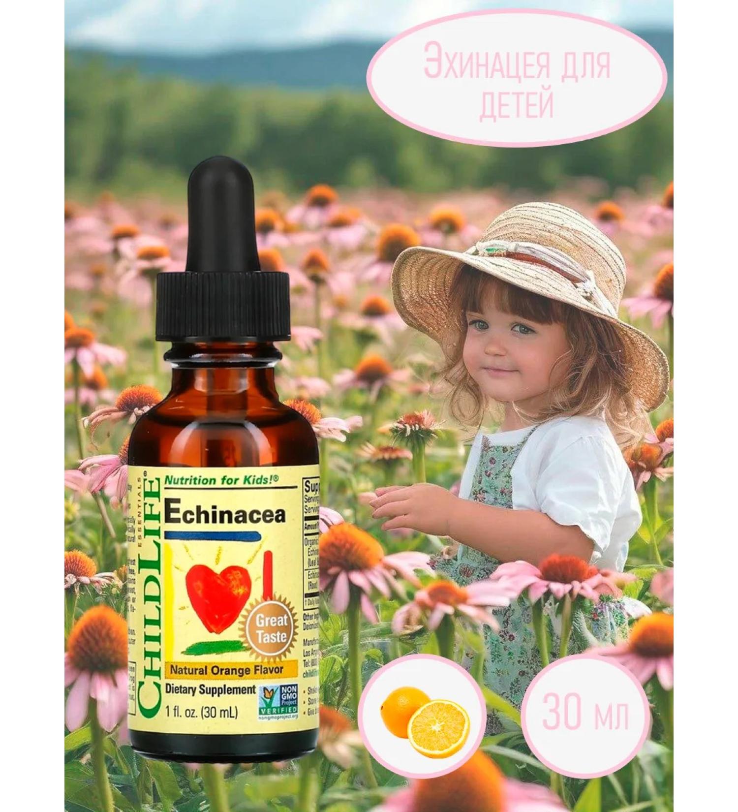 ChildLife Echinacea extract for children - Buy Online on GoSupps.com