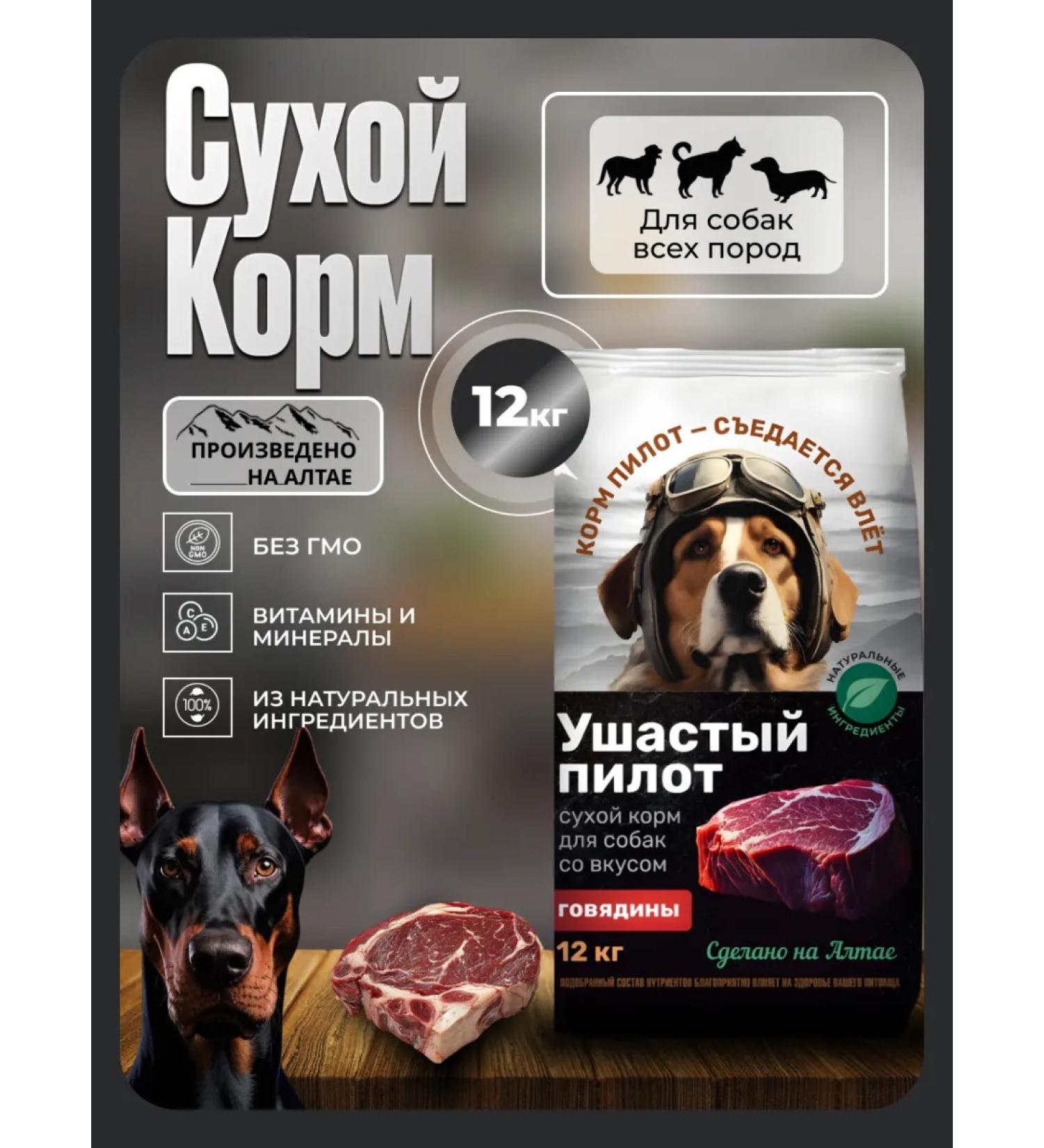 Long-Eared Pilot Dog food dry 12 kg of beef - Buy Online on GoSupps.com