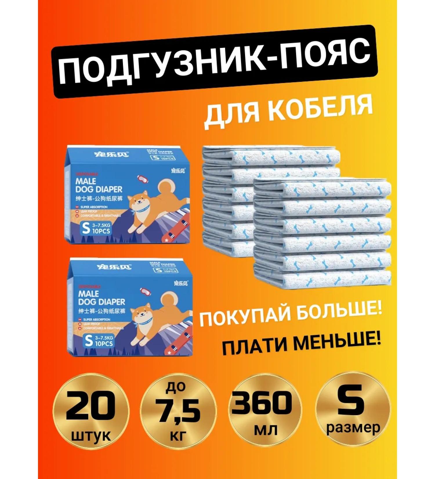 Belt for the male 20 pieces - Buy Online on GoSupps.com