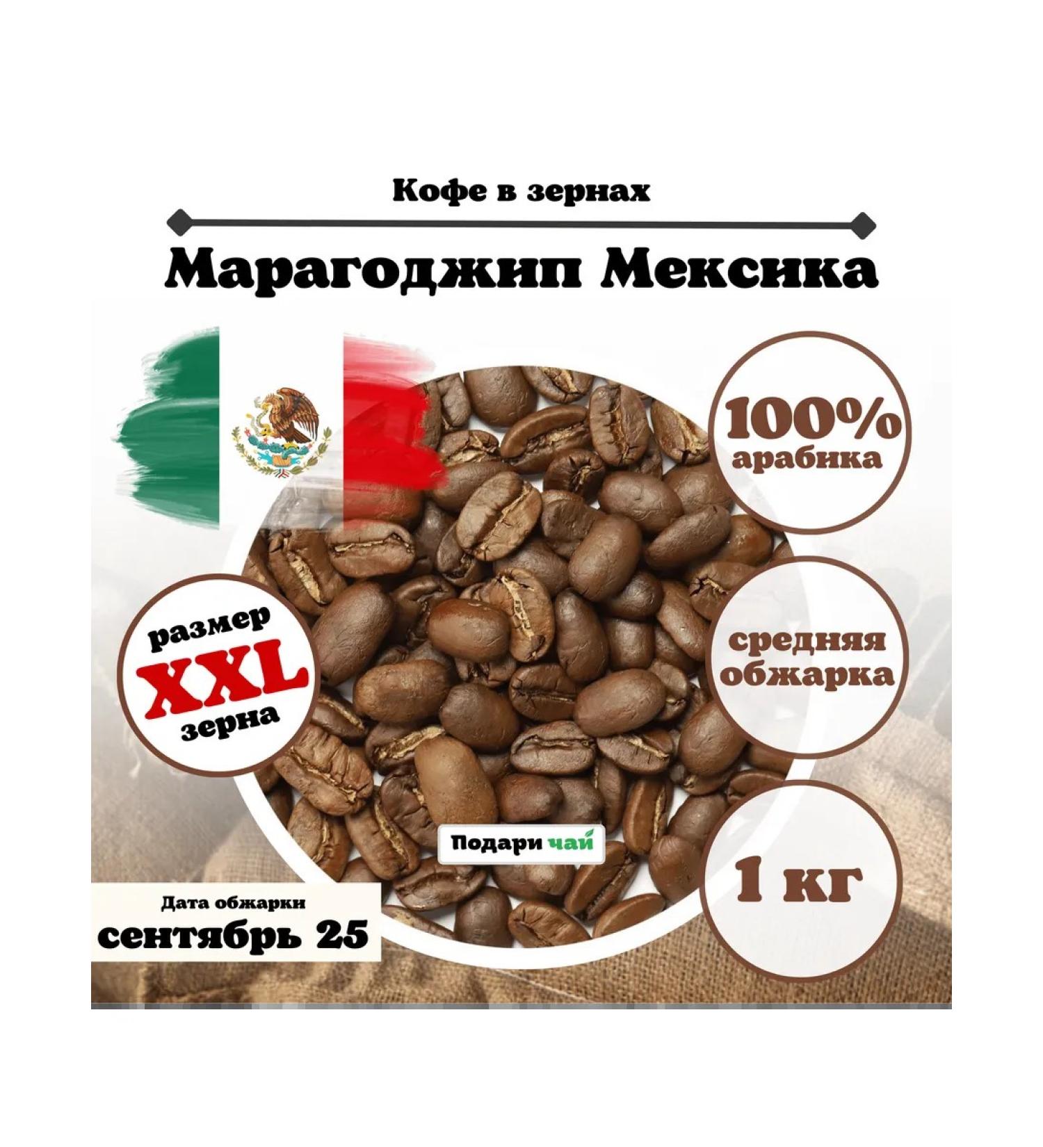 Give me some tea Grain coffee maragojip MEKSIK - Buy Online on GoSupps.com