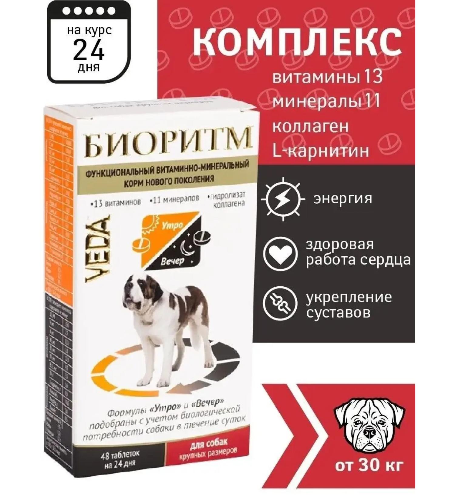 Biorhythm Vitamins for dogs Bioritm - Buy Online on GoSupps.com