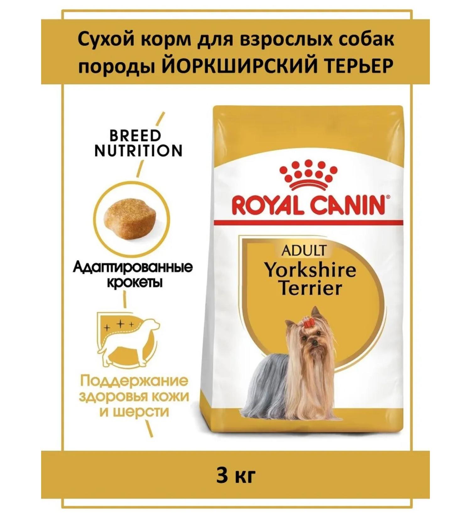 Royal Canin Dry food for the Yorkshire Terrier - Buy Online on GoSupps.com