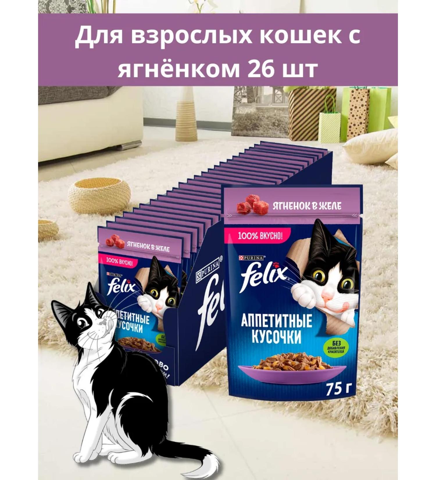 FELIX Wet food with lamb jelly 26 pcs - Buy Online on GoSupps.com