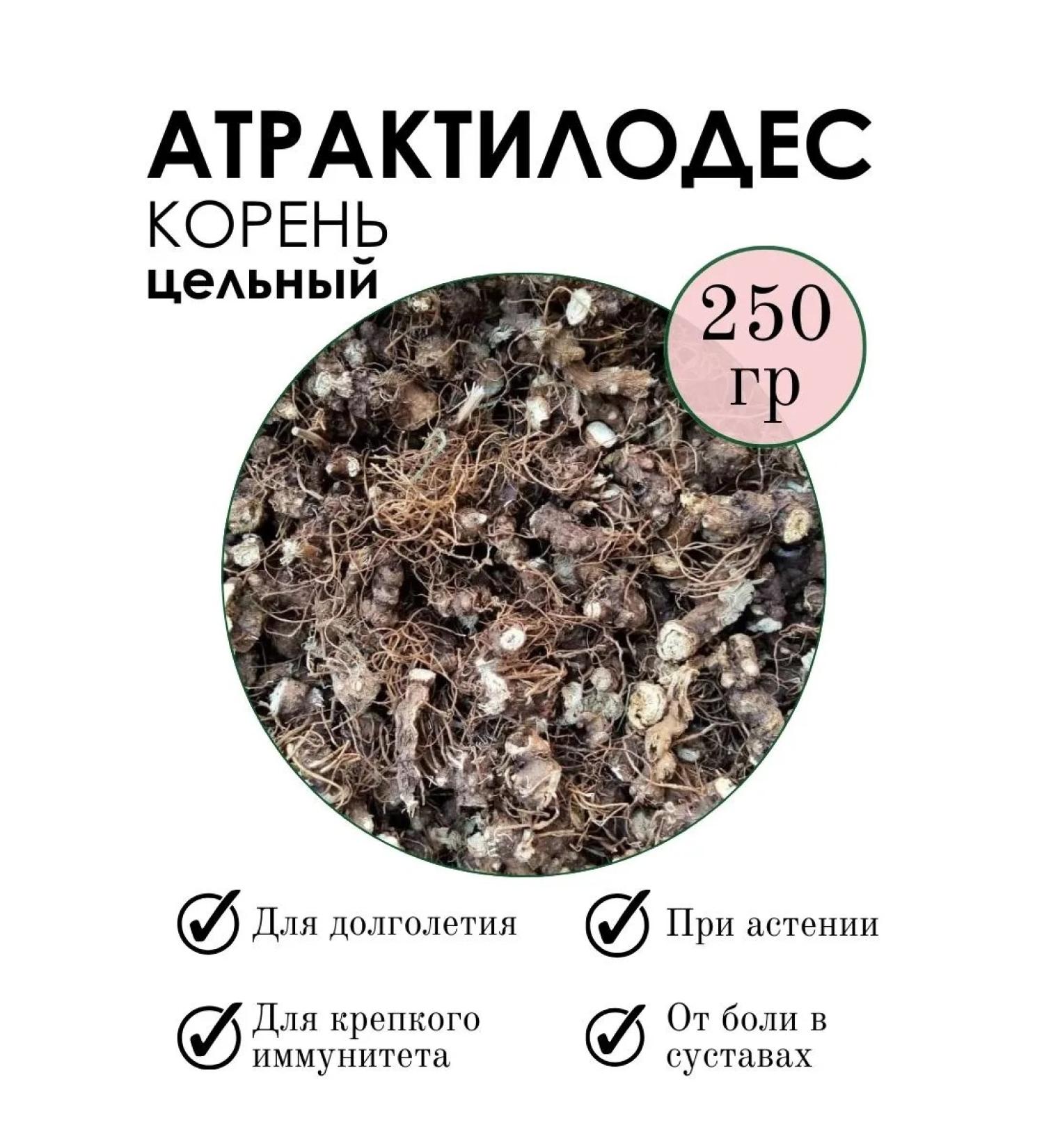 PHYTOAPTHECARIAN Atractylodes root 250 g - Buy Online on GoSupps.com