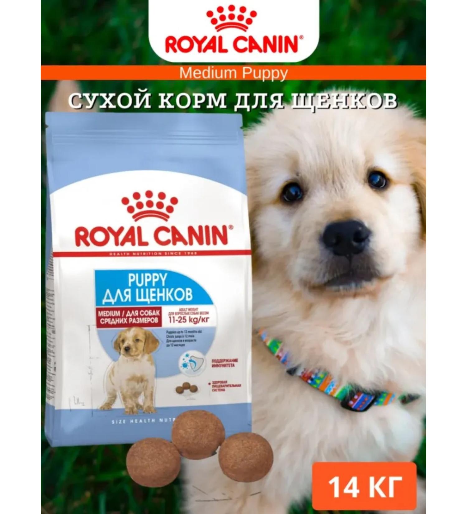ROYAL CANIN Medium Puppy for Medium Puppies 14kg - Buy Online on GoSupps.com