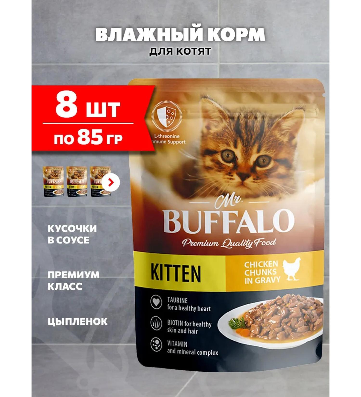 Mr BUFFALO Wet feed for kittens delicate chicken in sauce 85 g 8 pcs - Buy Online on GoSupps.com