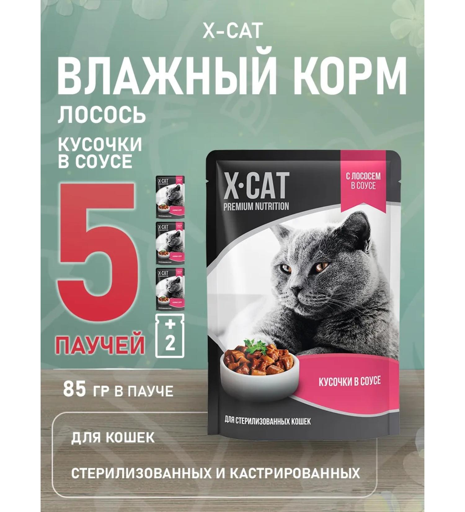 X-CAT Sterilized cat food moist salmon 85 g 5 pcs - Buy Online on GoSupps.com