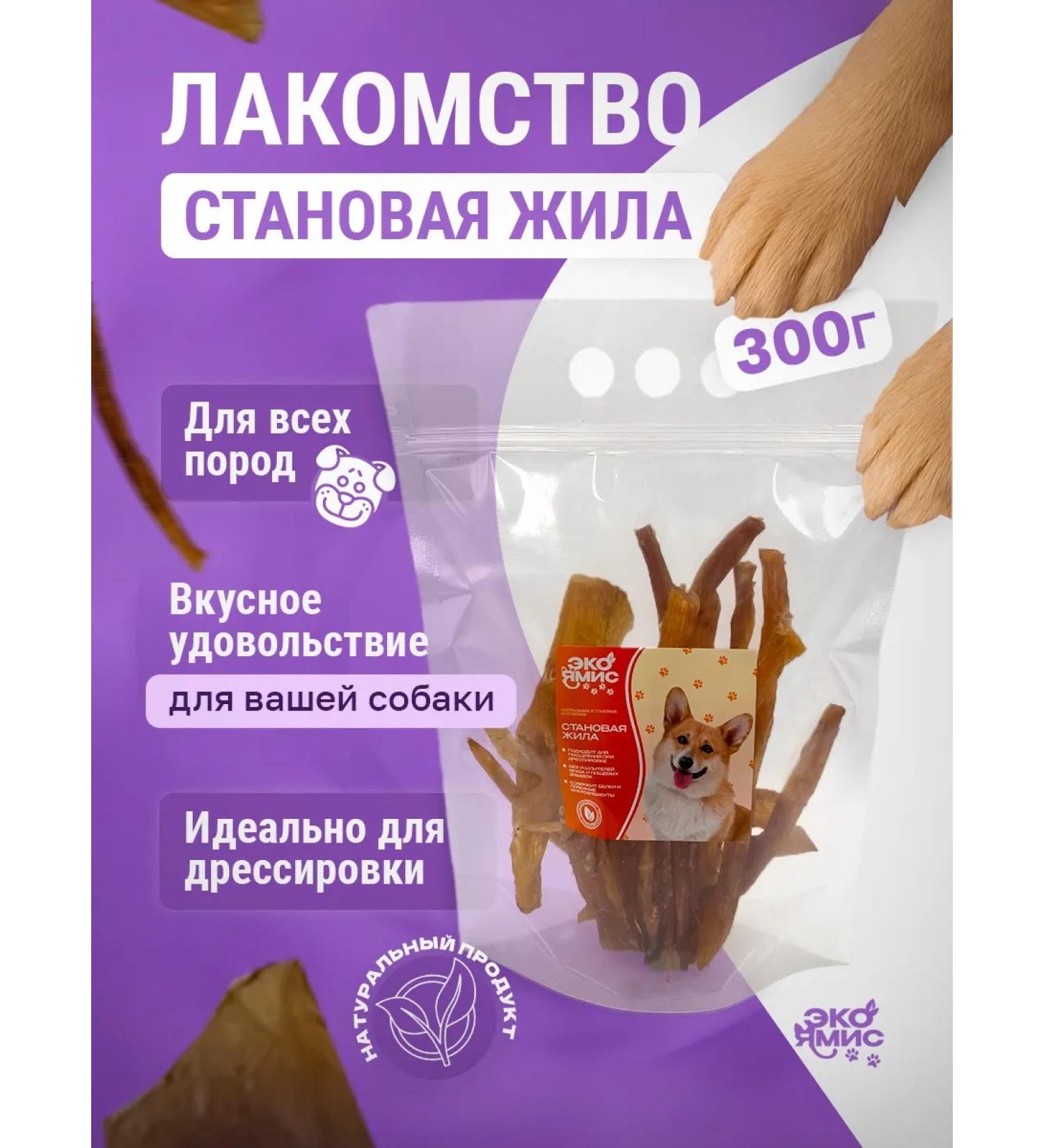 Eco Yamis Dog treats 300 grams beef deadline - Buy Online on GoSupps.com