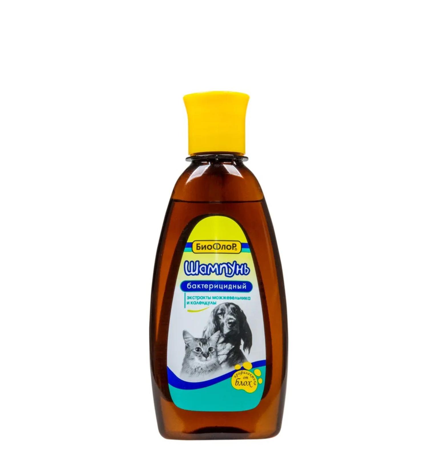 Bioflor Shampoo for dogs and cats from fleas bactericidal